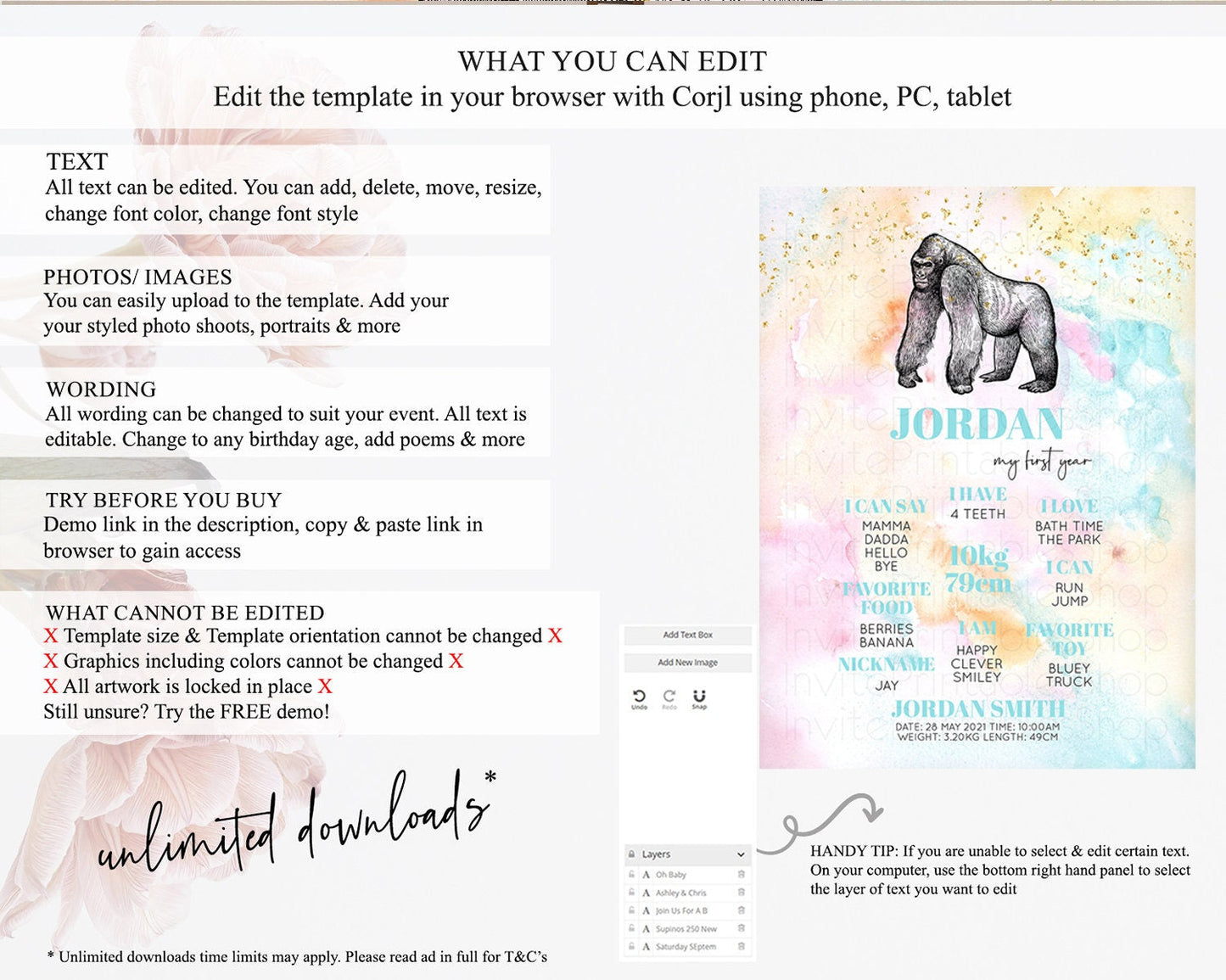 Pastel Gorilla First Birthday Milestone Board Gorilla Milestone Poster Colorful Rainbow Pastel Watercolor 1st Birthday Welcome Sign D10284