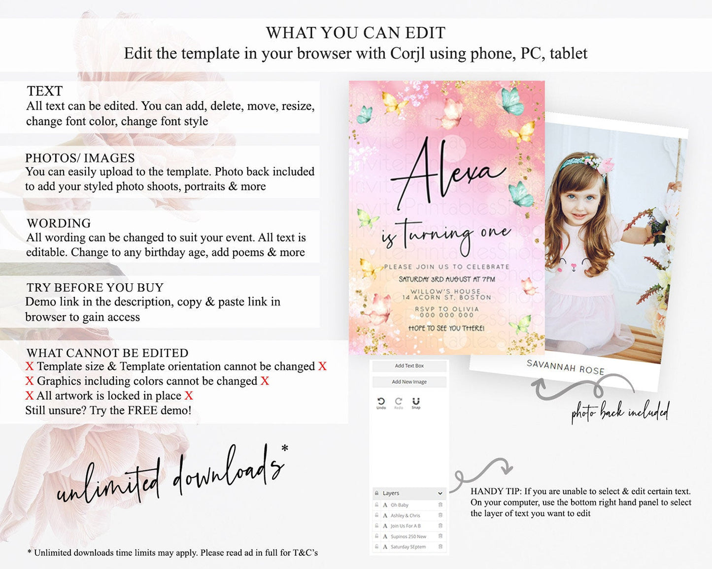 Pastel Butterfly Birthday Invitation Butterfly Birthday Invitation Whimsical Butterfly Enchanted Garden 1st 2nd Birthday Invitation D23131