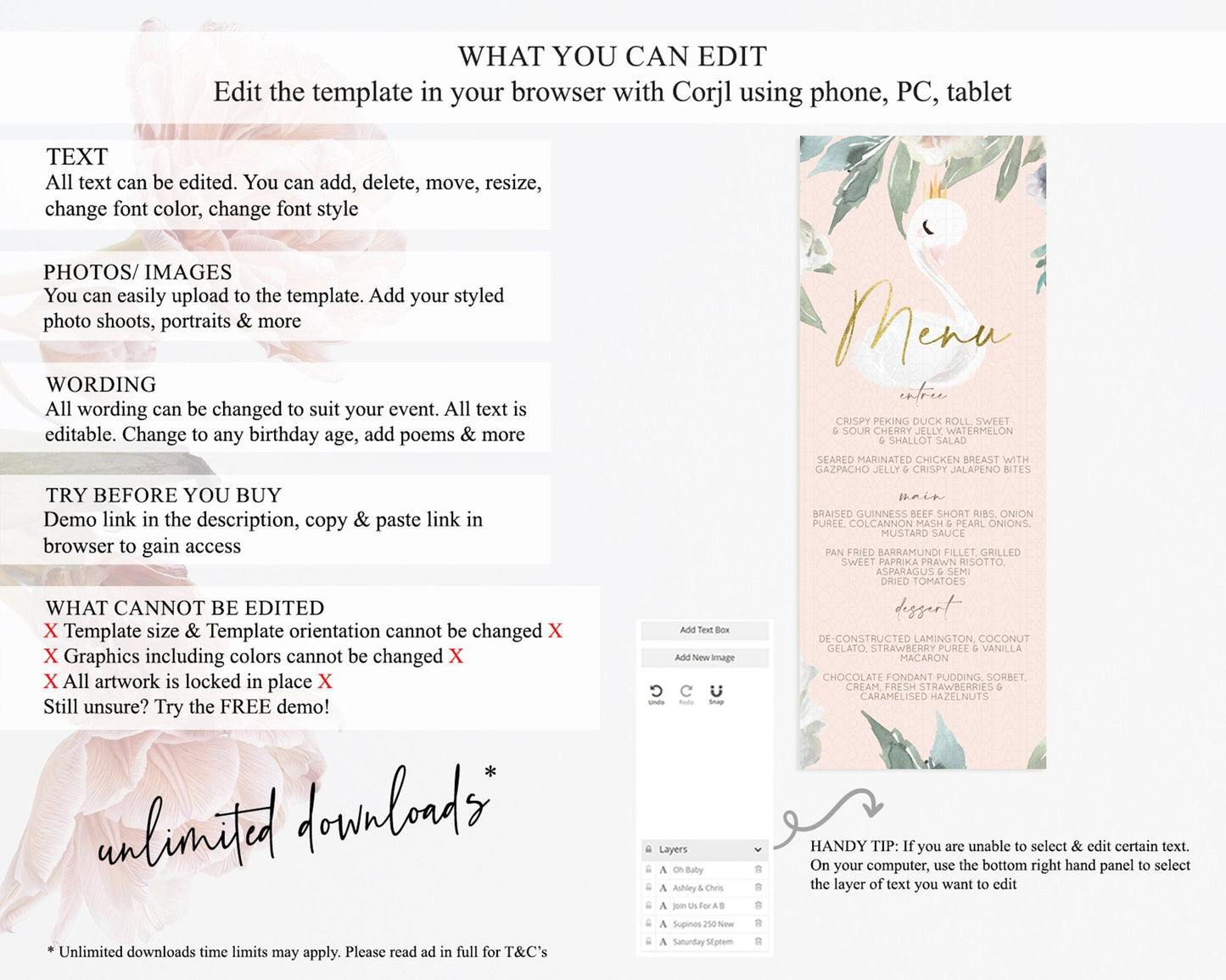 Swan Menu Swan Princess Ballet Menu Template Enchanted Swan Lake Table Decor Secret Garden Pastel Floral Dinner Dessert Food Menu D10115