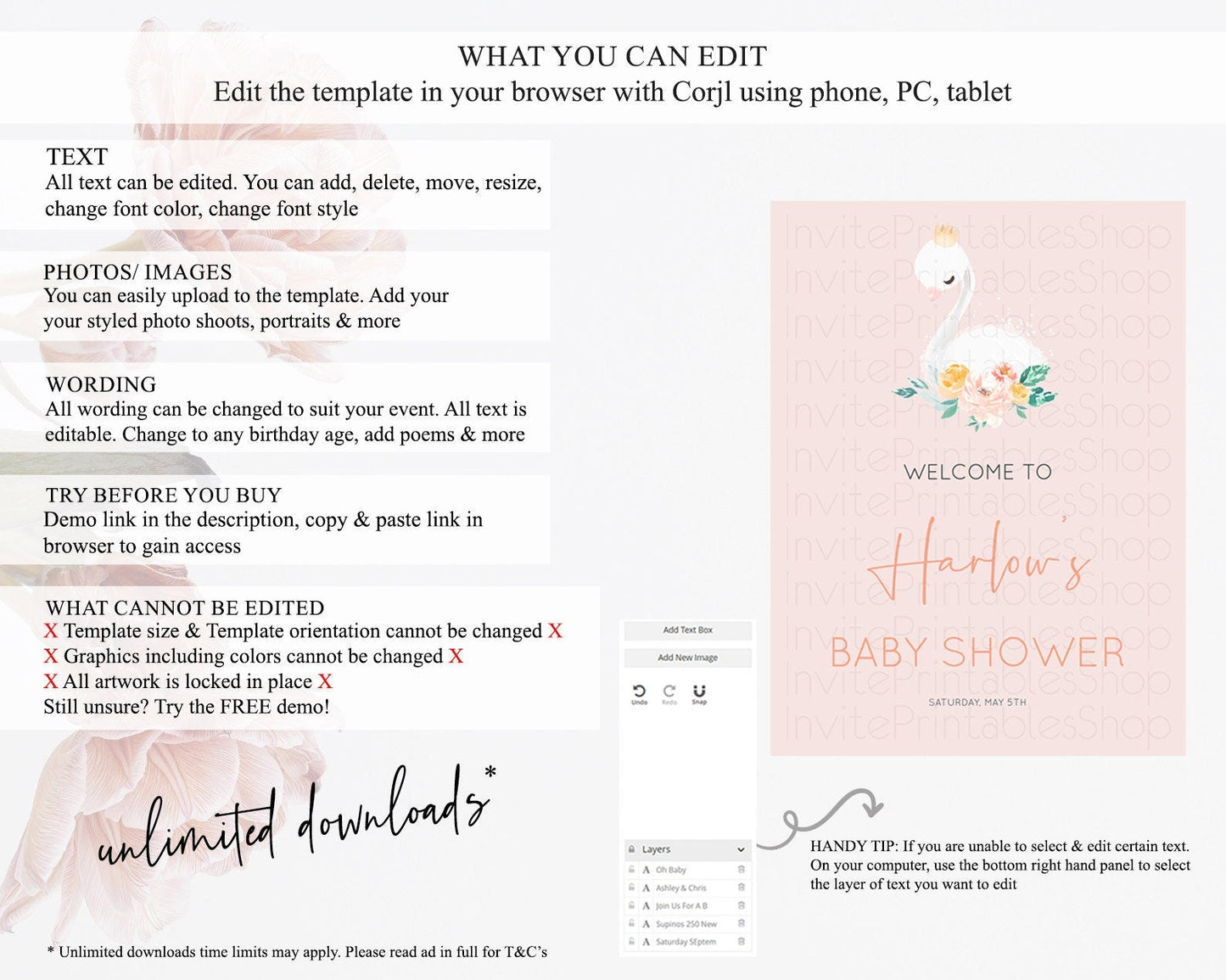 Swan Baby Shower Welcome Board Swan Princess Ballet Welcome Sign Enchanted Swan Lake Secret Garden Pastel Floral Swan Welcome Sign D10388