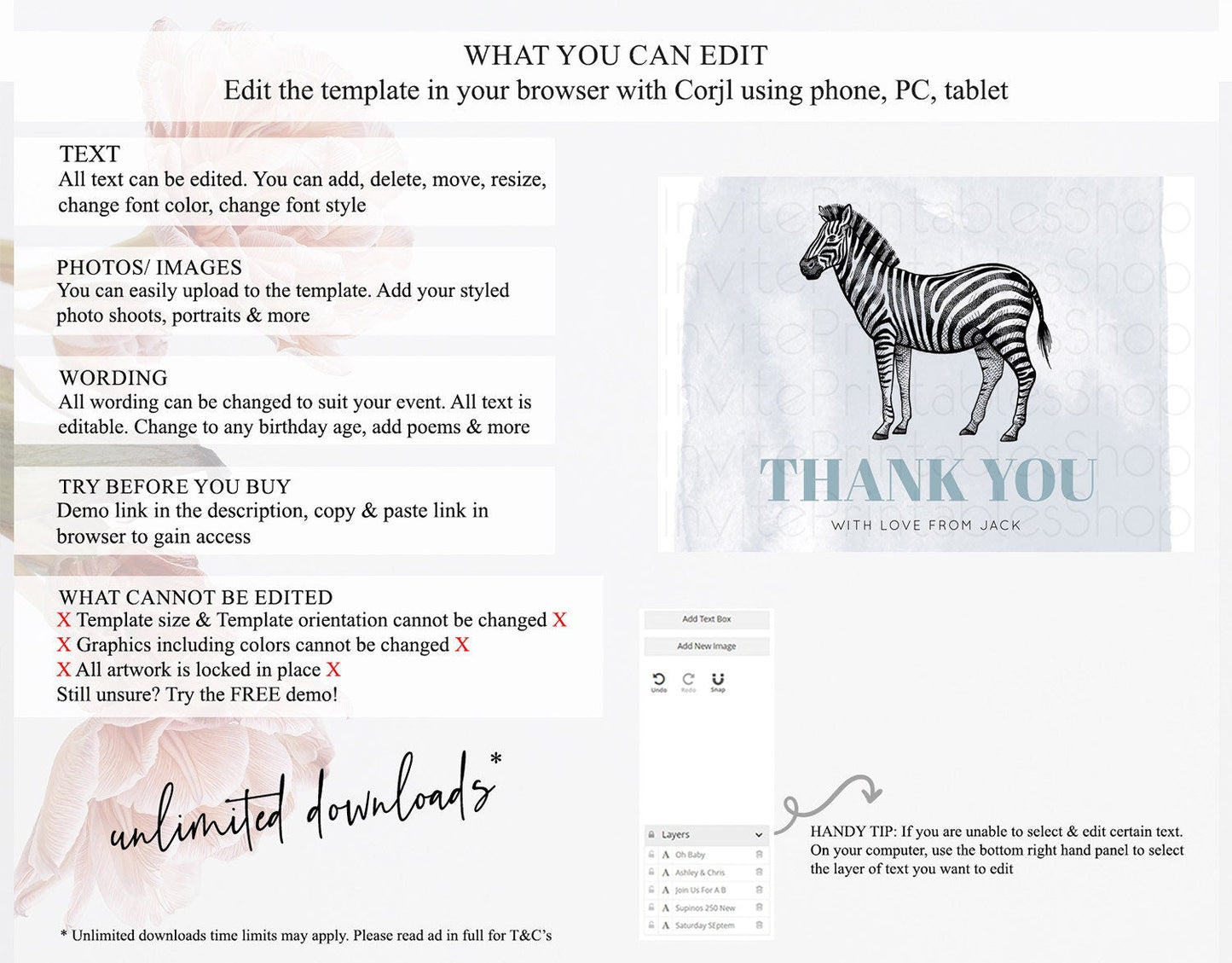 Zebra Thank You Zebra Thank You Card Zebra Birthday Thank You Cards Safari Dried Palm Fern Zebra Teacher Thank You Card Template D10814