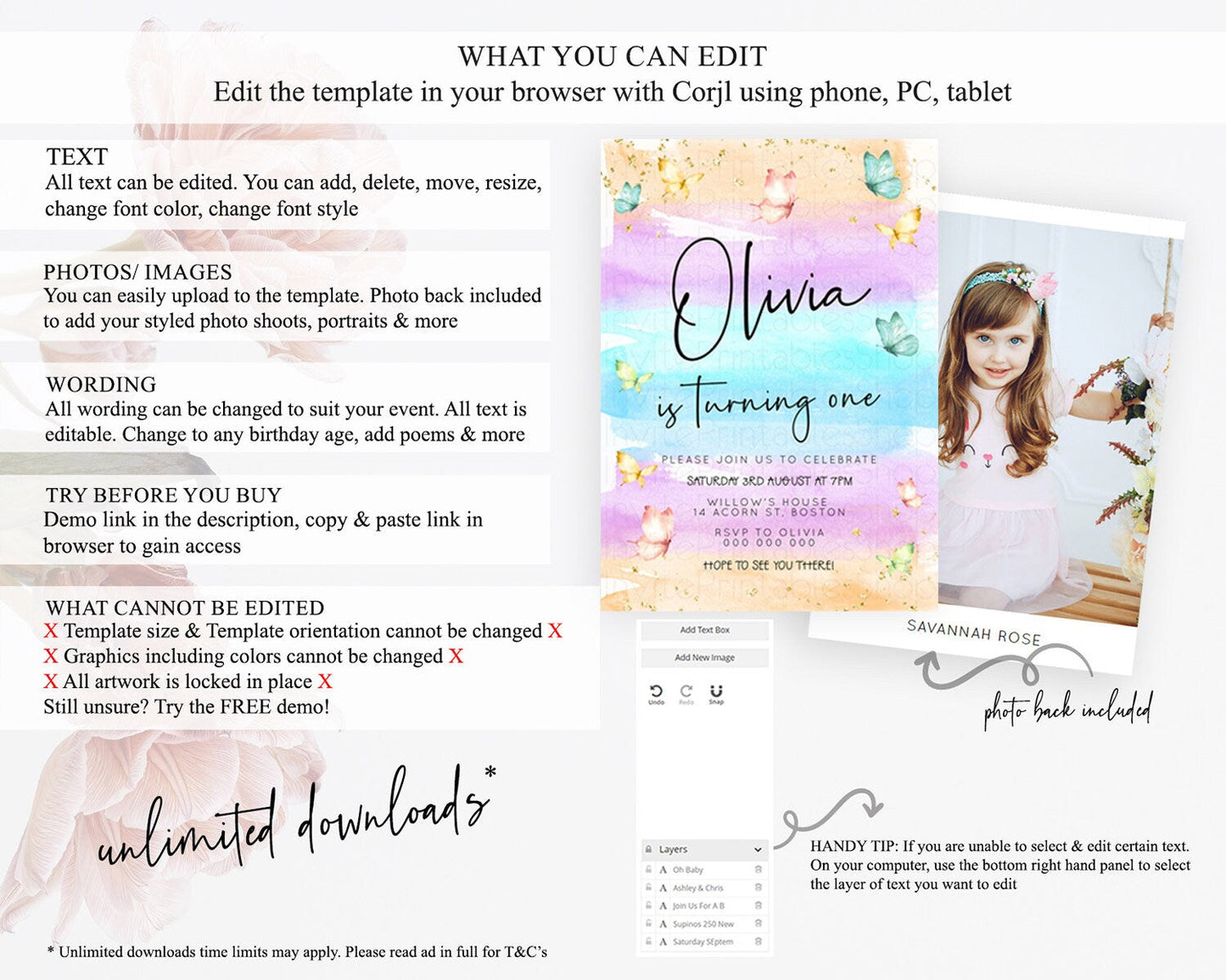 Pastel Butterfly Birthday Invitation Butterfly Birthday Invitation Whimsical Butterfly Enchanted Garden 1st 2nd Birthday Invitation D23178