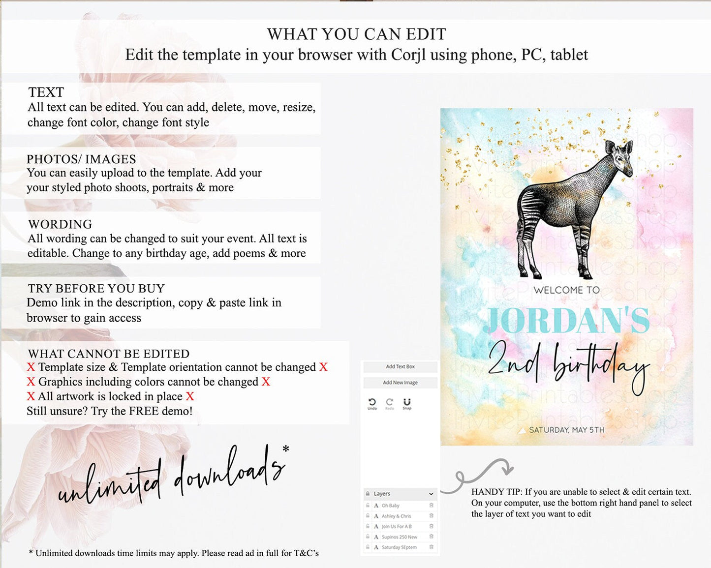 Pastel Okapi Welcome Sign Rainbow Okapi Welcome Board Colorful Rainbow Pastel Confetti Watercolor First Birthday Welcome Sign D10282