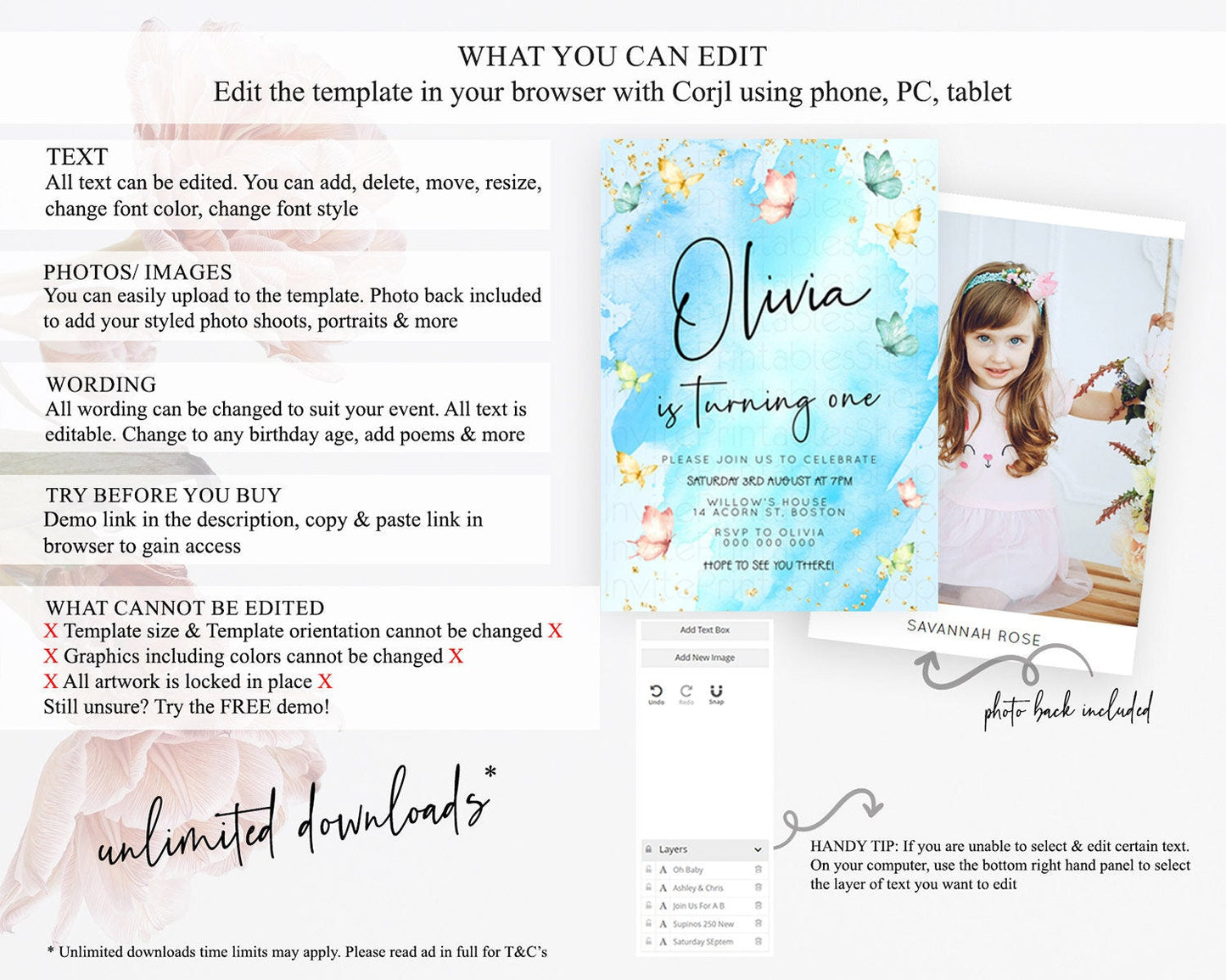 Pastel Butterfly Birthday Invitation Butterfly Birthday Invitation Whimsical Butterfly Enchanted Garden 1st 2nd Birthday Invitation D23213