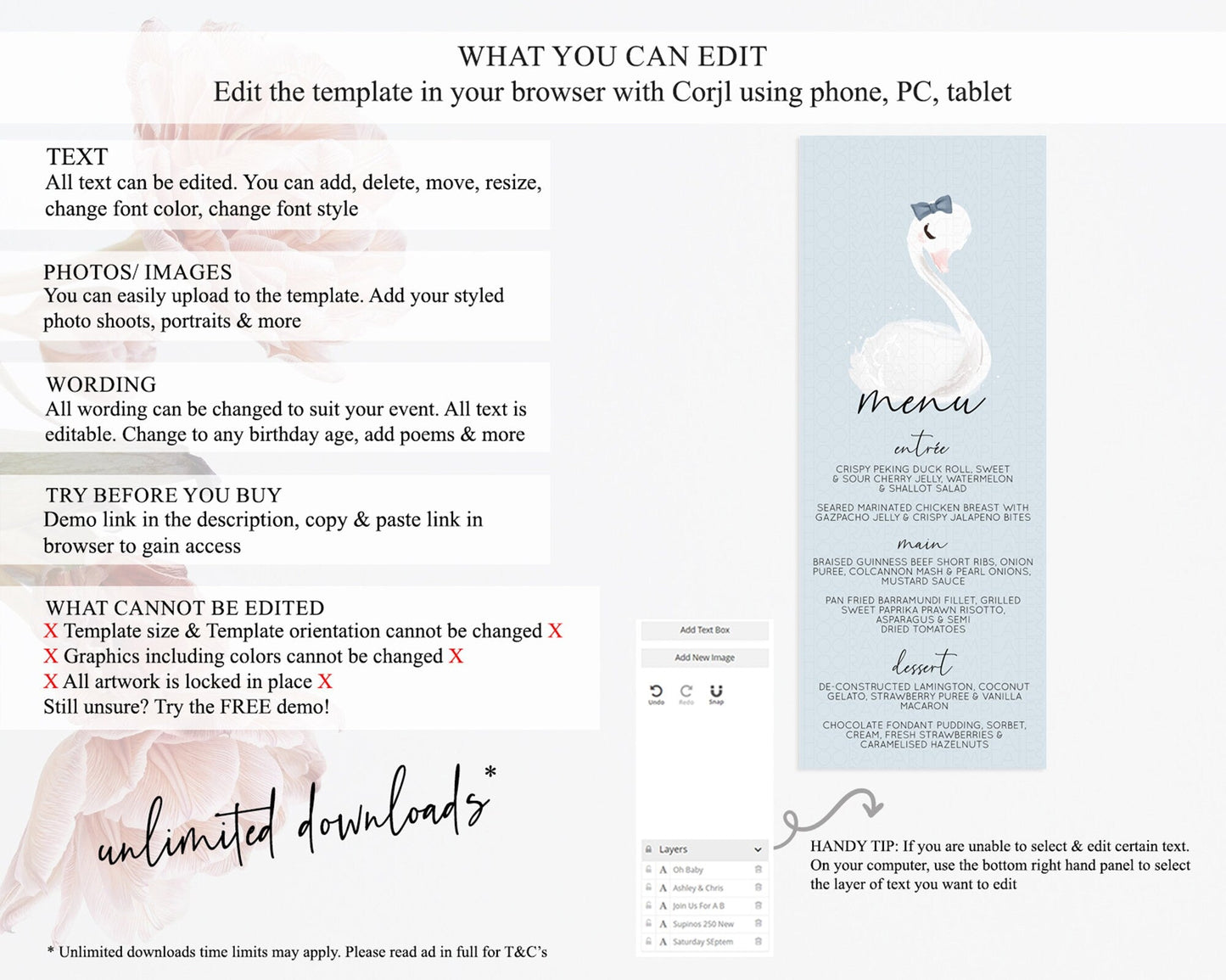 Swan Menu Swan Princess Ballet Menu Template Enchanted Swan Lake Table Decor Secret Garden Pastel Floral Dinner Dessert Food Menu D10760