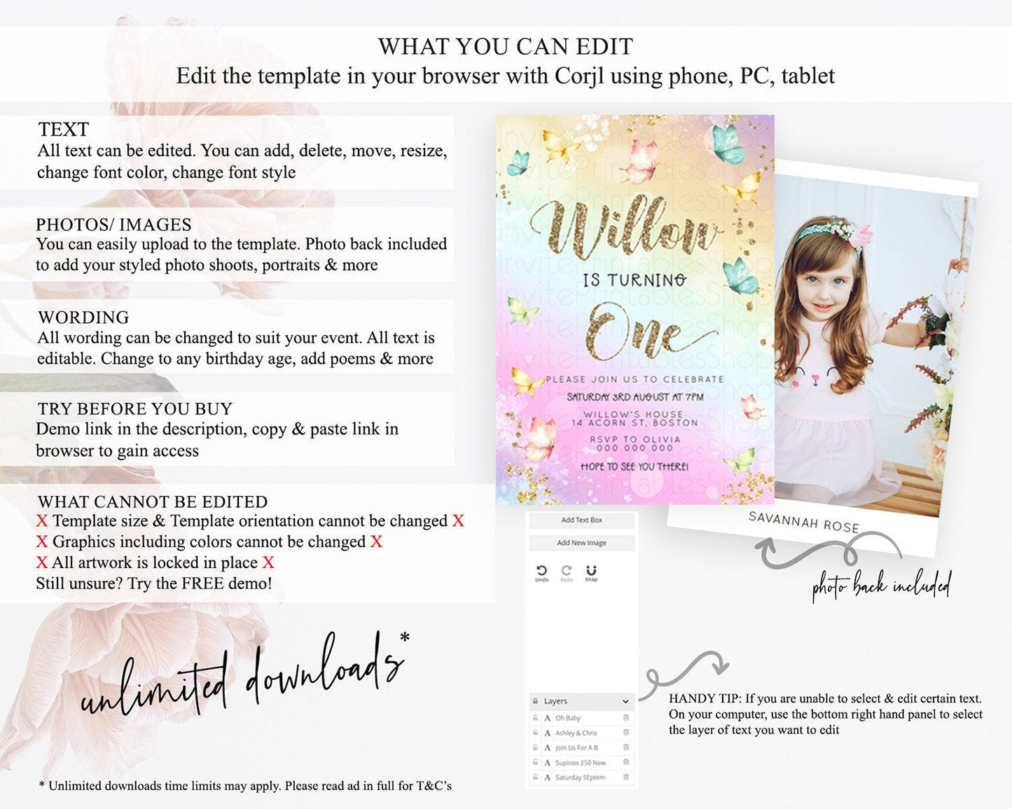 Pastel Butterfly Birthday Invitation Butterfly Birthday Invitation Colorful Splash Glitter Butterfly Garden 1st 2nd Birthday D23084