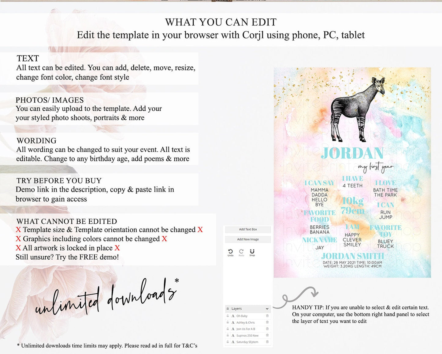 Pastel Okapi First Birthday Milestone Board Okapi Milestone Poster Colorful Rainbow Pastel Watercolor Okapi 1st Birthday Sign D10282