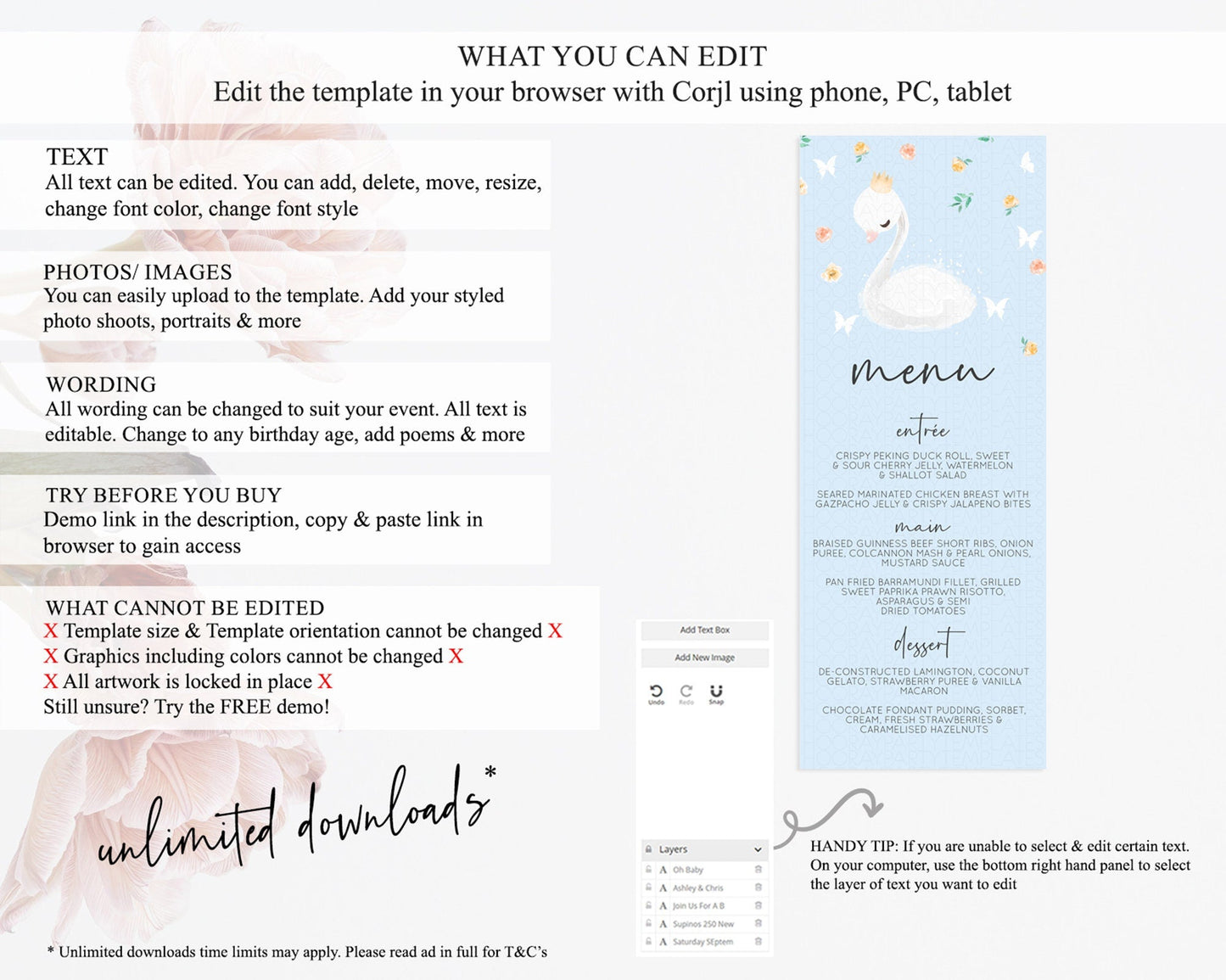 Swan Menu Swan Princess Ballet Menu Template Enchanted Swan Lake Table Decor Secret Garden Pastel Floral Dinner Dessert Food Menu D10903