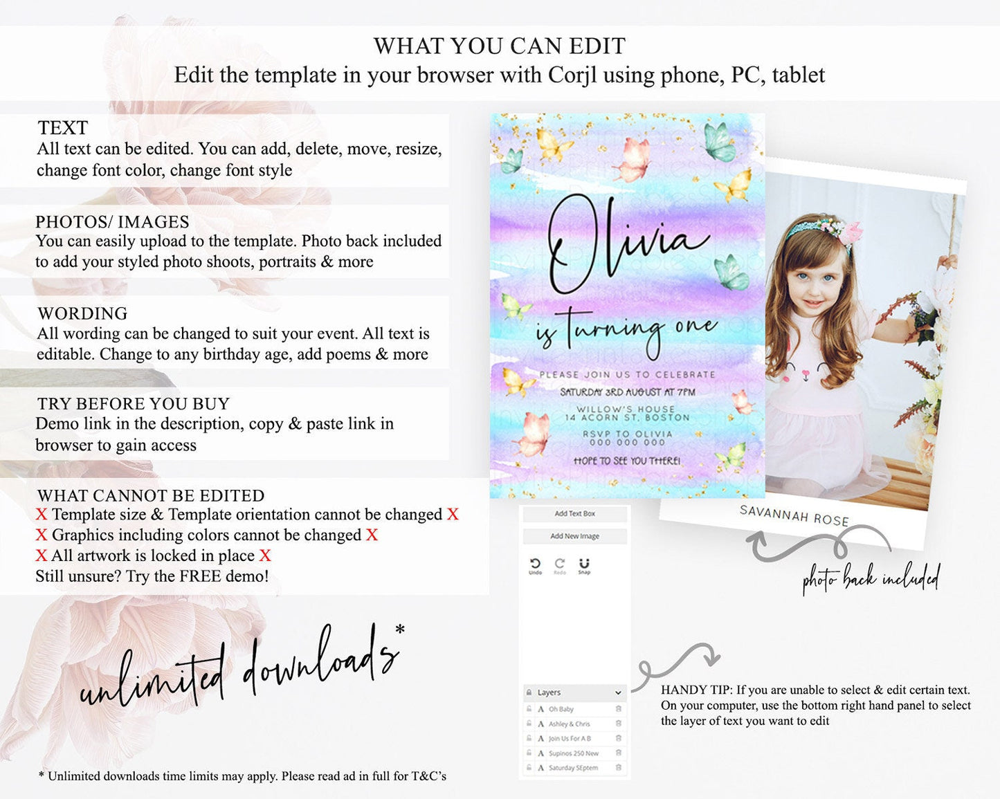 Pastel Butterfly Birthday Invitation Butterfly Birthday Invitation Whimsical Butterfly Enchanted Garden 1st 2nd Birthday Invitation D23170