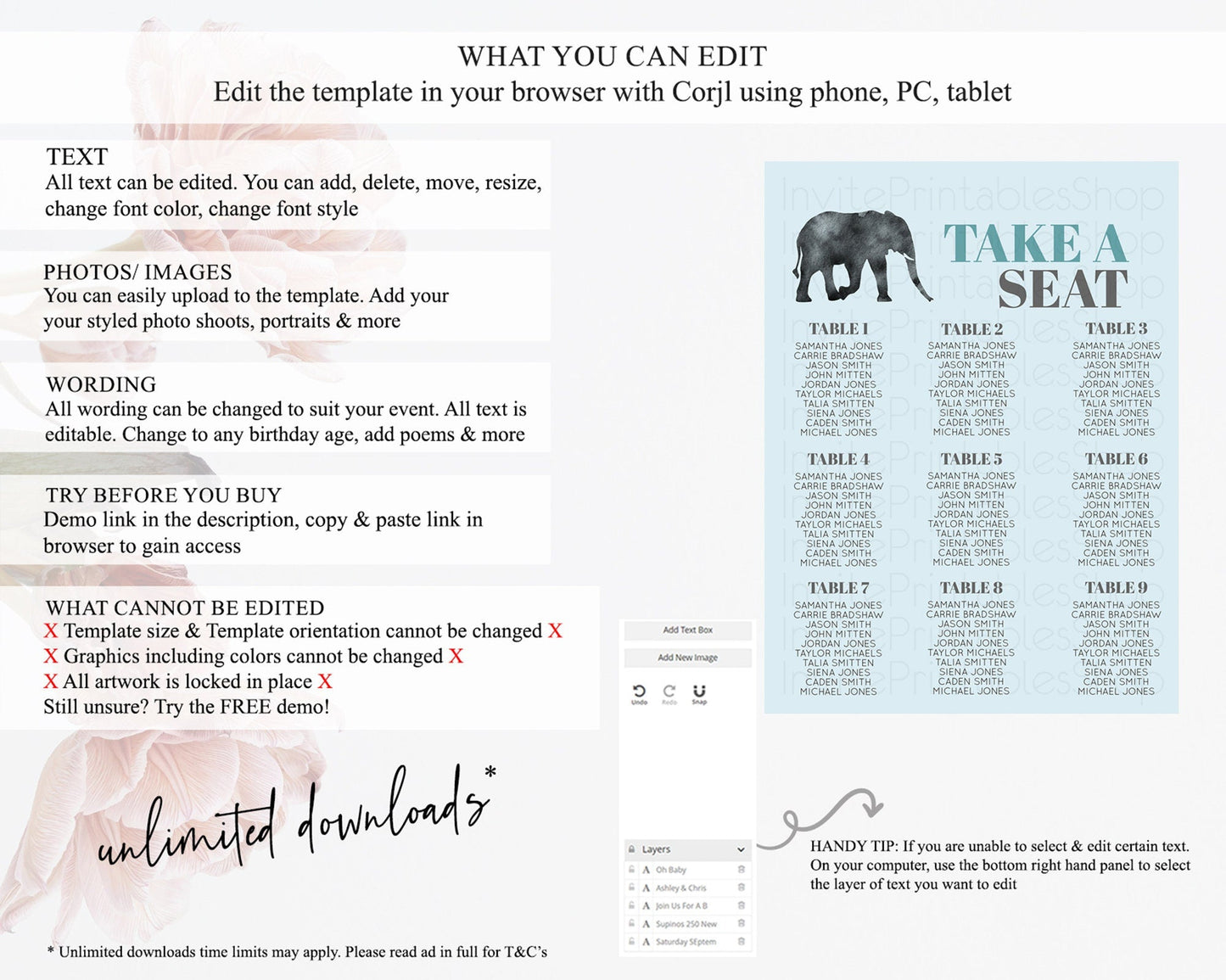 Elephant Seating Chart Elephant Seating Sign Elephant Party Safari Adventure Elephant Take A Seat Elephant Decor Zoo Fern Palm Leaf D10802