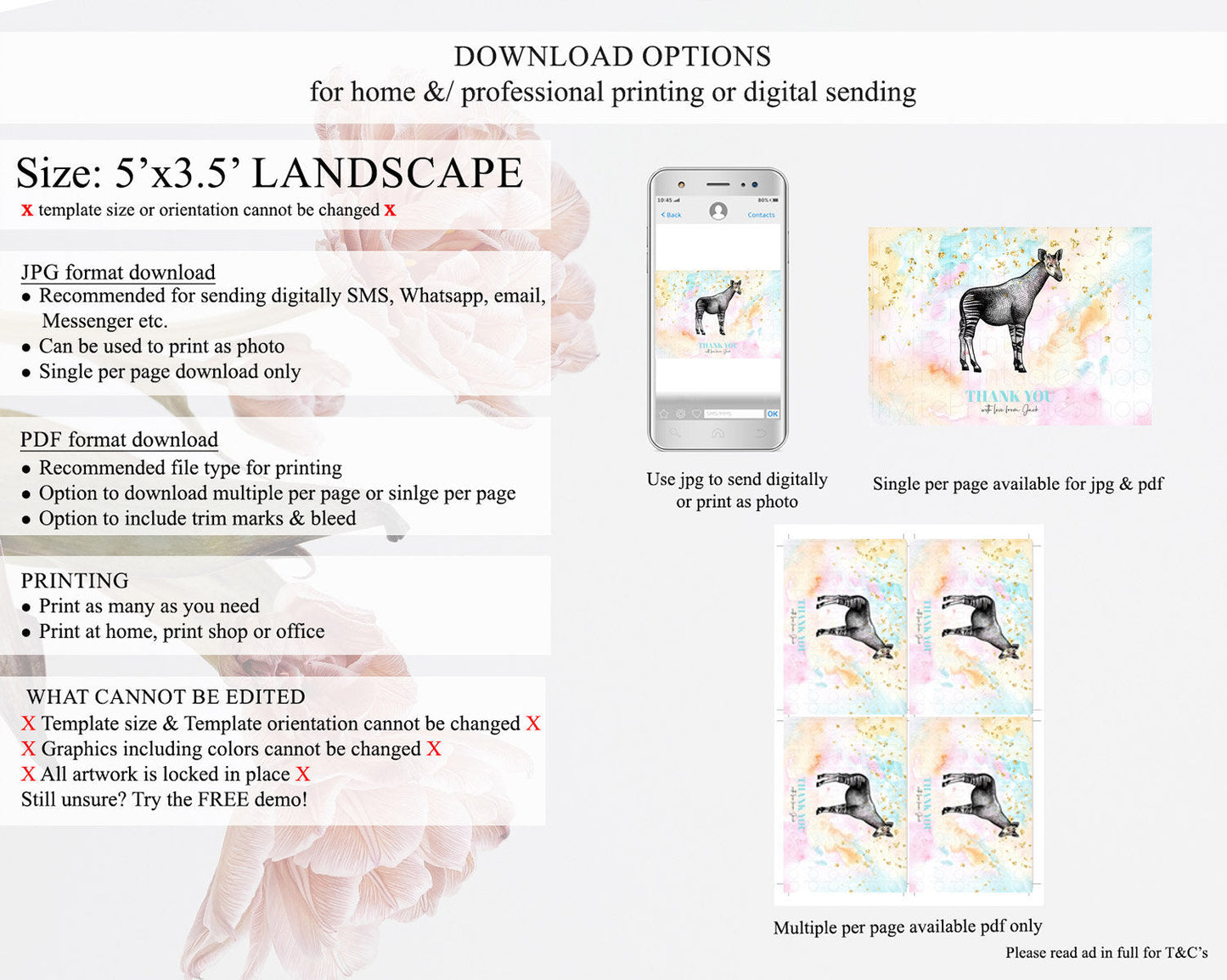 Pastel Okapi Thank You Rainbow Okapi Thank You Card Colorful Rainbow Birthday Thank You Pastel Okapi Teacher Thank You Card Template D10282