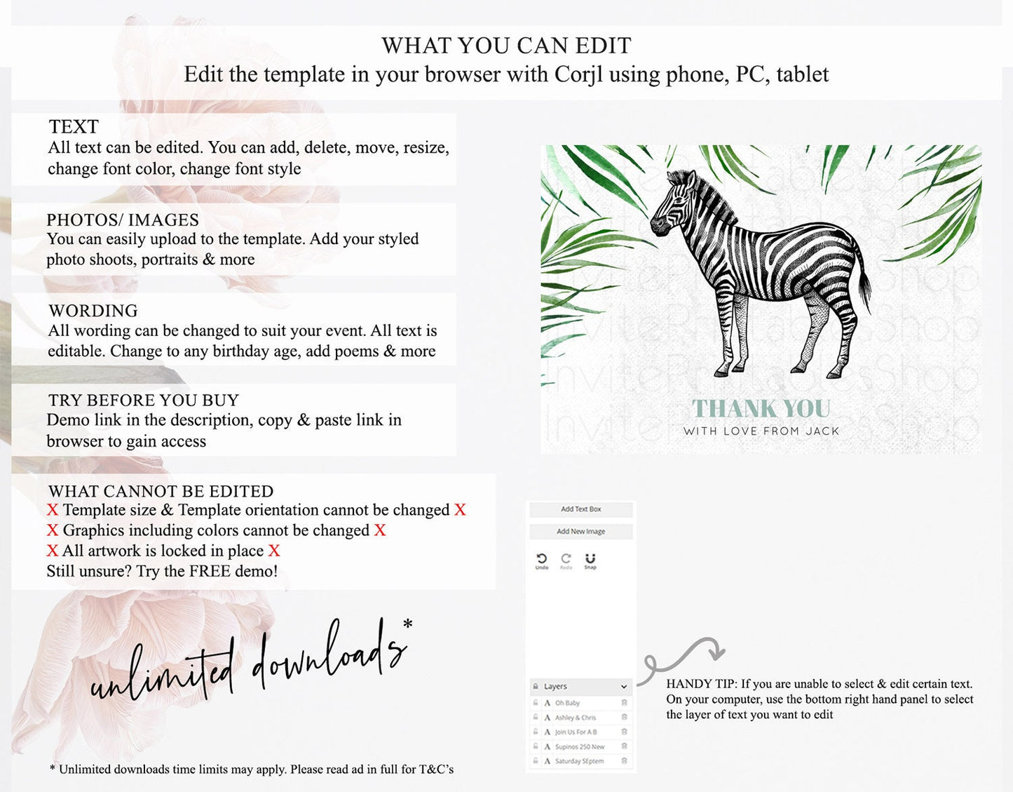 Zebra Thank You Zebra Thank You Card Zebra Birthday Thank You Cards Safari Dried Palm Fern Zebra Teacher Thank You Card Template D10844