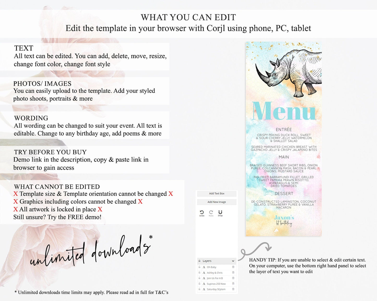Pastel Rhino Menu Rainbow Rhino Menu Template Colorful Rainbow Safari Table Decor Pastel Dinner Dessert Menu Rhino Food Menu D10287