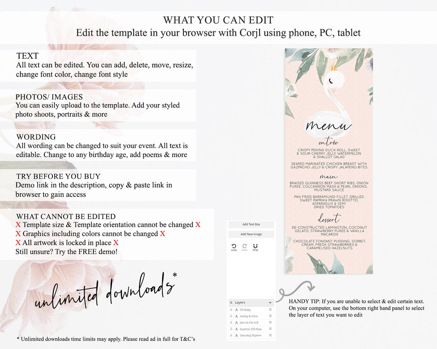 Swan Menu Swan Princess Ballet Menu Template Enchanted Swan Lake Table Decor Secret Garden Pastel Floral Dinner Dessert Food Menu D10755