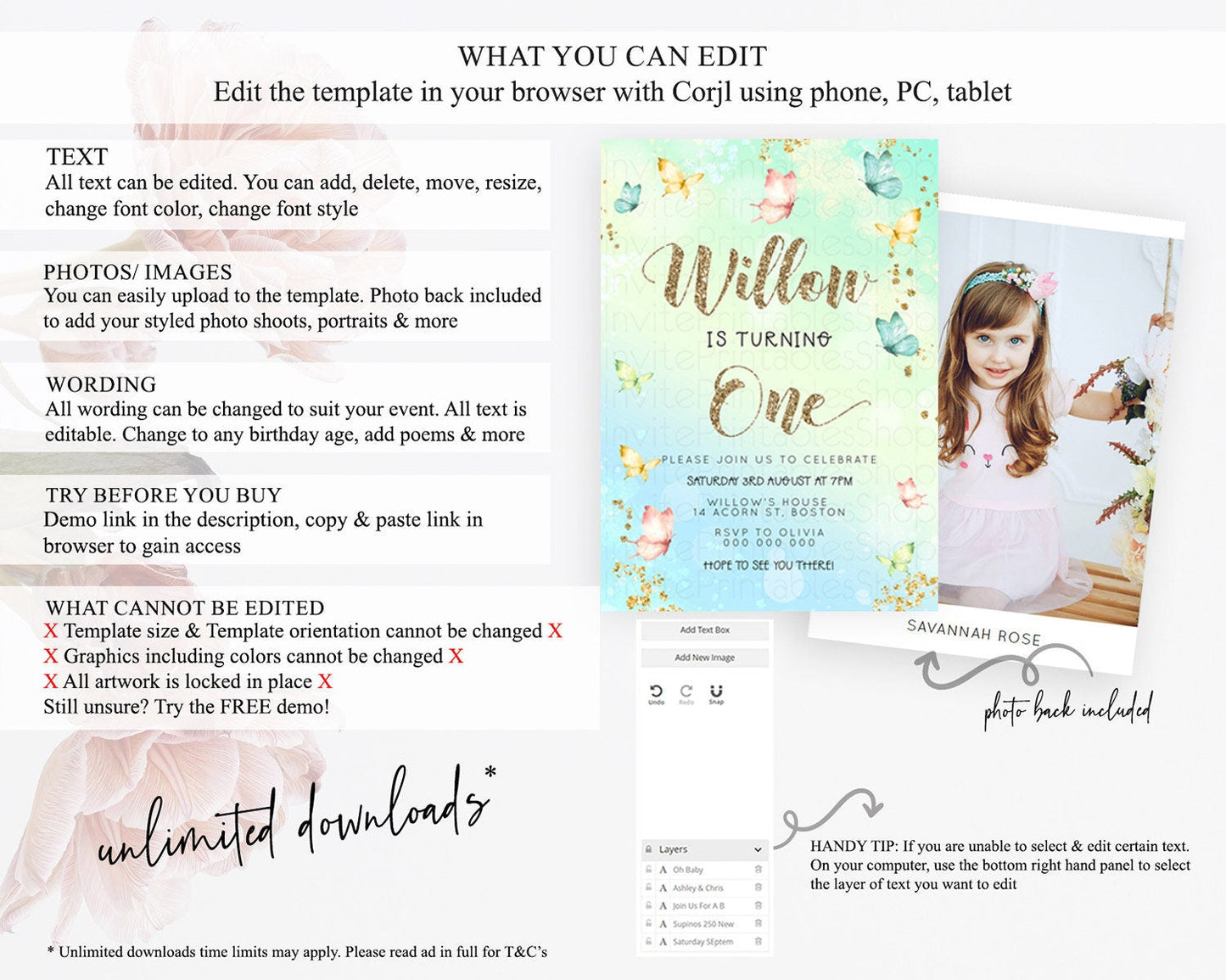 Pastel Butterfly Birthday Invitation Butterfly Birthday Invitation Colorful Splash Glitter Butterfly Garden 1st 2nd Birthday D23078