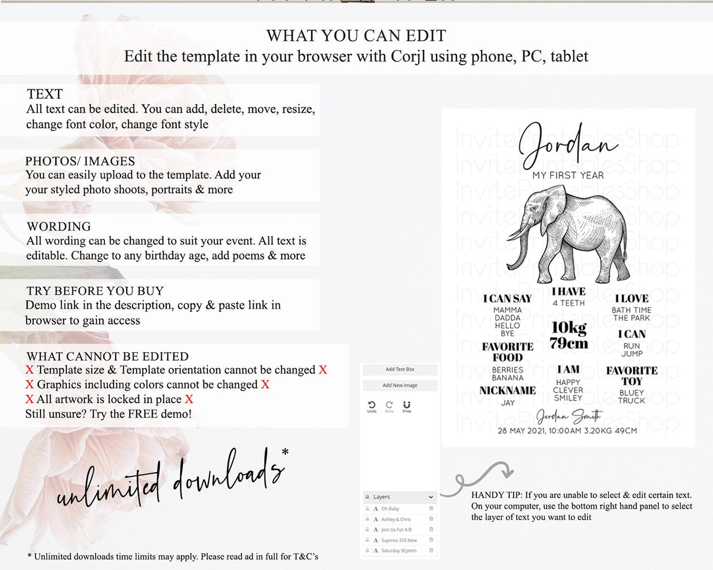Elephant First Birthday Milestone Board Elephant Milestone Poster One Wild Year Safari Adventure Elephant Zoo Birthday Welcome Sign D10248