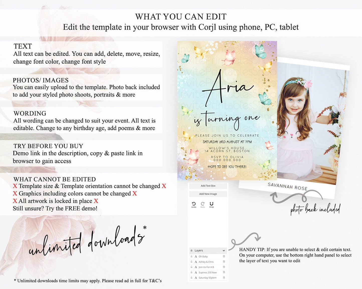 Pastel Butterfly Birthday Invitation Butterfly Birthday Invitation Whimsical Butterfly Enchanted Garden 1st 2nd Birthday Invitation D23141