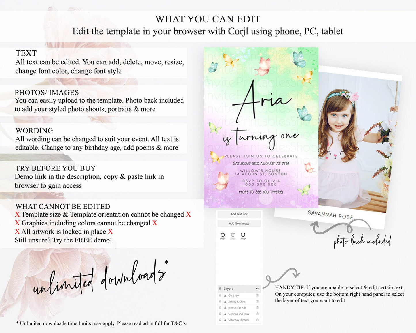 Pastel Butterfly Birthday Invitation Butterfly Birthday Invitation Whimsical Butterfly Enchanted Garden 1st 2nd Birthday Invitation D23139