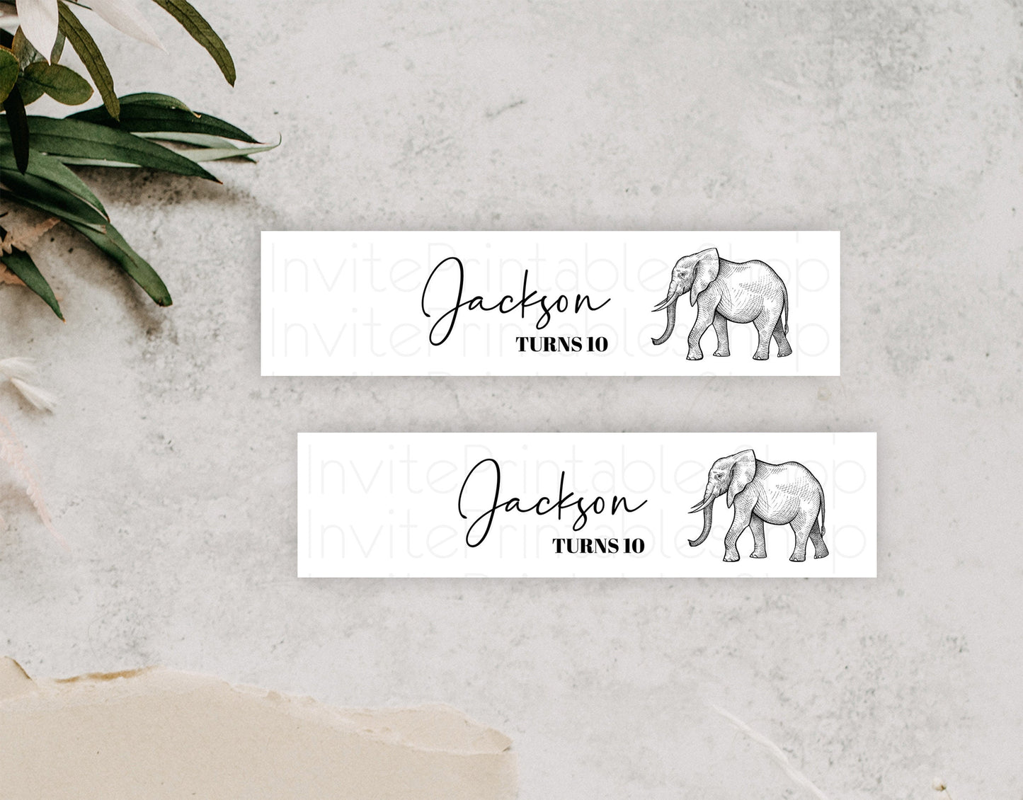 Elephant Water Label Template Elephant Safari Adventure Party Decor Dried Palm Fern Zoo Birthday Baptism Baby Shower Bridal Shower D10248