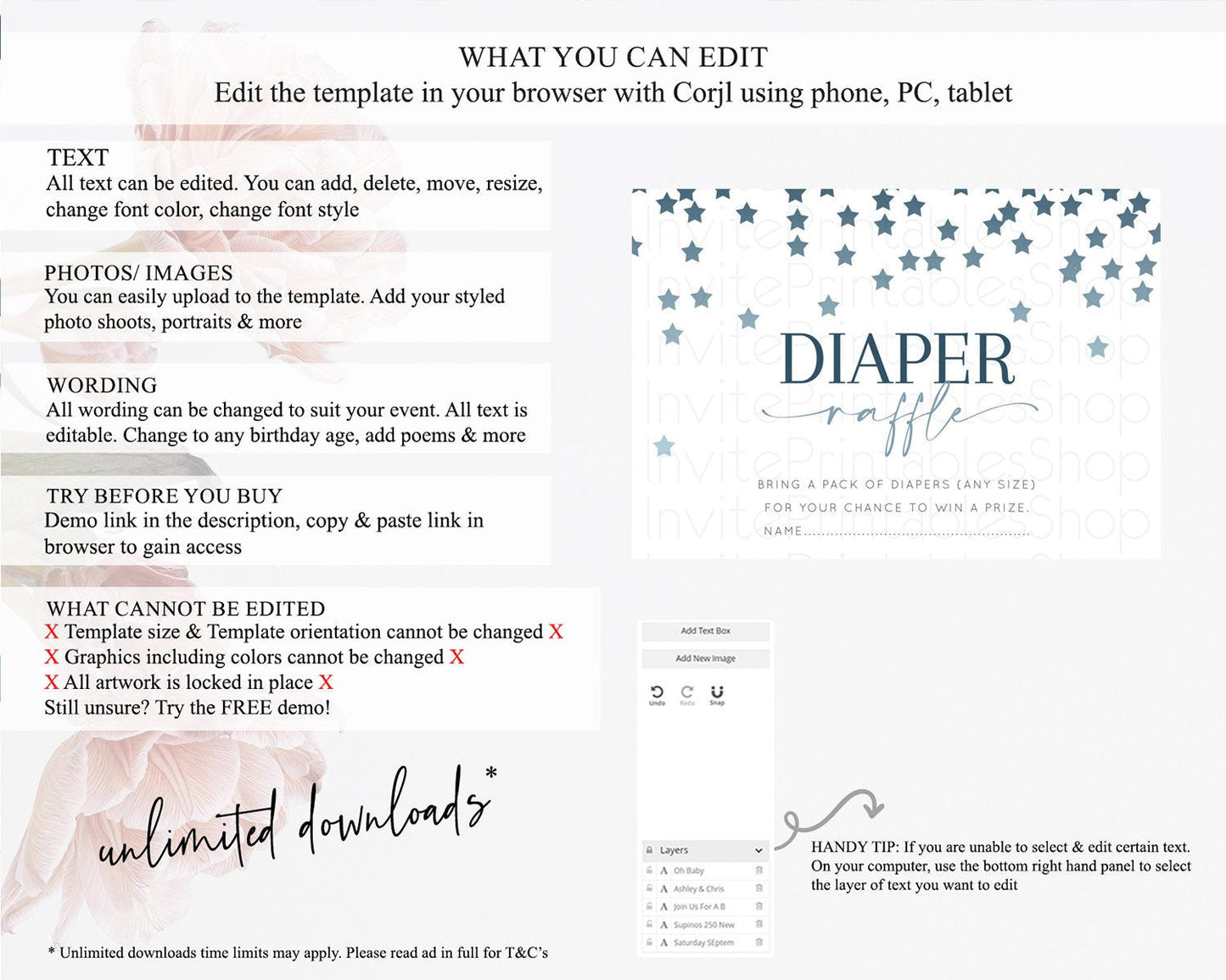 Pastel Star Diaper Raffle Card Shooting Star Diaper Raffle Insert Twinkle Little Star Diaper Ticket Rainbow Confetti Raffle Game D10308