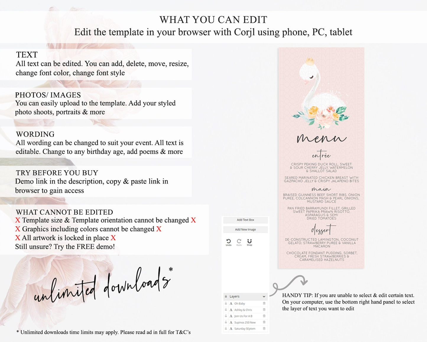 Swan Menu Swan Princess Ballet Menu Template Enchanted Swan Lake Table Decor Secret Garden Pastel Floral Dinner Dessert Food Menu D10388