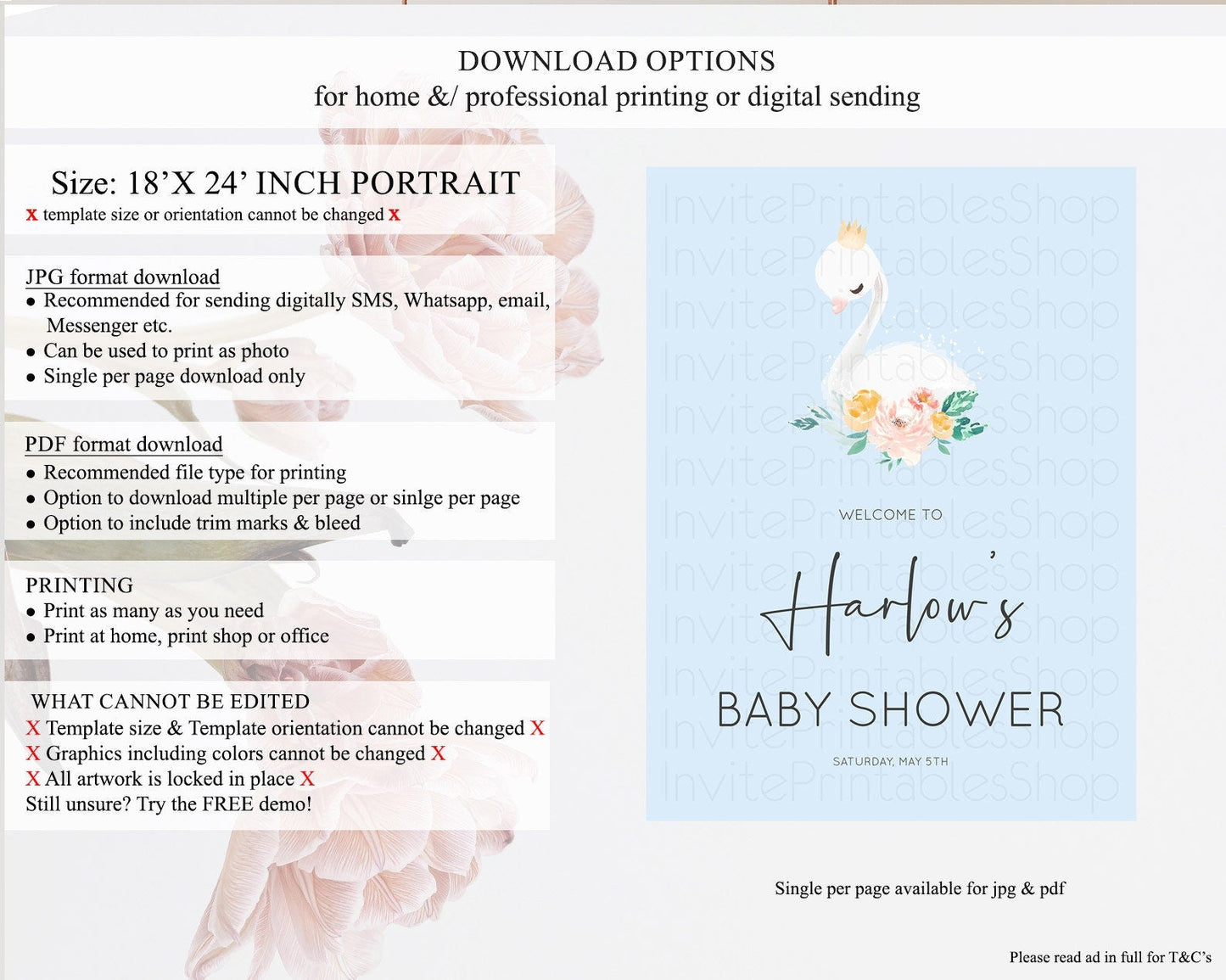 Swan Baby Shower Welcome Board Swan Princess Ballet Welcome Sign Enchanted Swan Lake Secret Garden Pastel Floral Swan Welcome Sign D10903