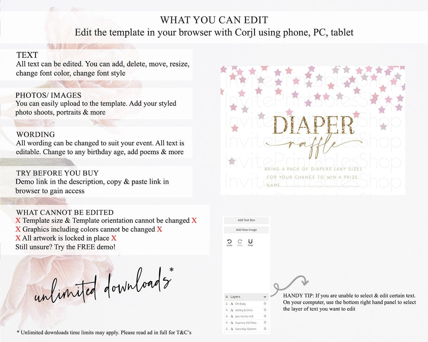 Pastel Star Diaper Raffle Card Shooting Star Diaper Raffle Insert Twinkle Little Star Diaper Ticket Rainbow Confetti Raffle Game D10344