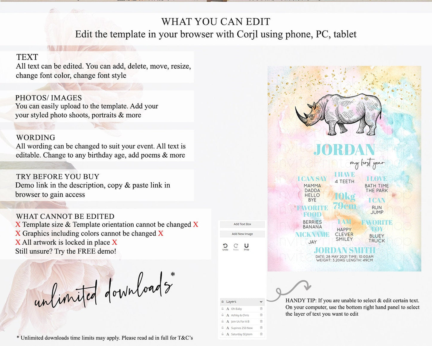 Pastel Rhino First Birthday Milestone Board Rhino Milestone Poster Colorful Rainbow Pastel Watercolor 1st Birthday Welcome Sign D10287