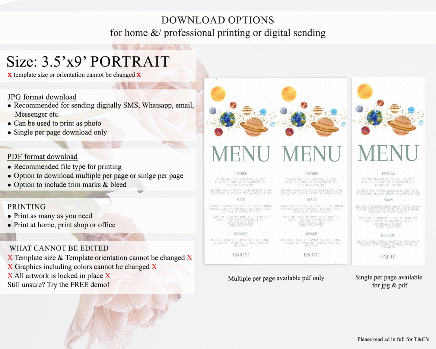Space Menu Space Menu Template First Trip Around the Sun Table Decor Planets Solar System ONE year Food Menu Dinner Dessert Menu D10598
