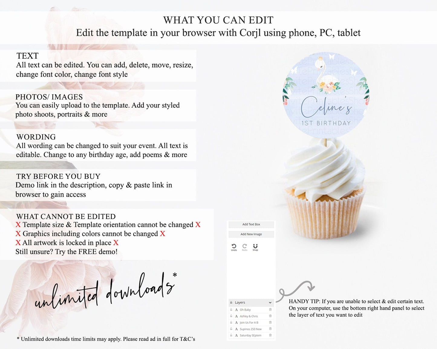 Swan Cupcake Toppers Swan Princess Ballet Cupcake Watercolour Pastel Floral Enchanted Forest Swan Lake Party Decor Secret Garden D10885