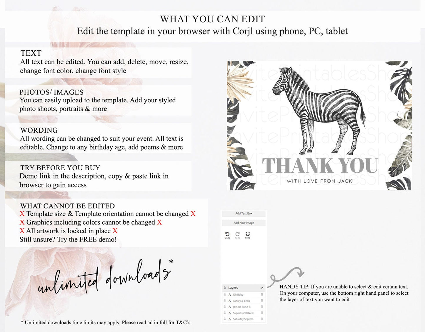 Zebra Thank You Zebra Thank You Card Zebra Birthday Thank You Cards Safari Dried Palm Fern Zebra Teacher Thank You Card Template D10824