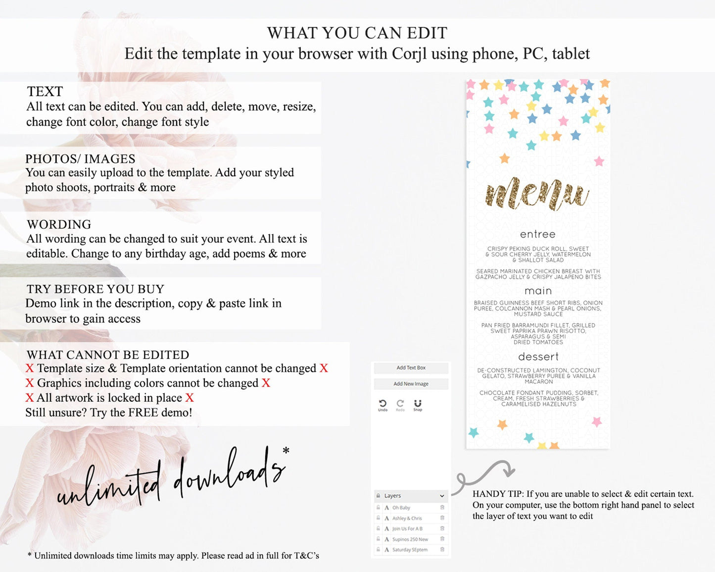Star Menu Template Pastel Stars Menu Shooting Star Twinkle Little Star Decor Rainbow Colorful Confetti Dinner Dessert Food Menu D10298