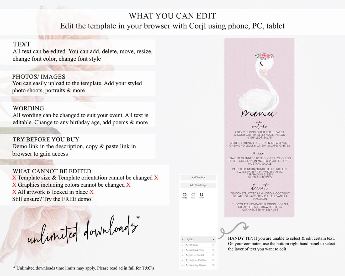 Swan Menu Swan Princess Ballet Menu Template Enchanted Swan Lake Table Decor Secret Garden Pastel Floral Dinner Dessert Food Menu  D10758