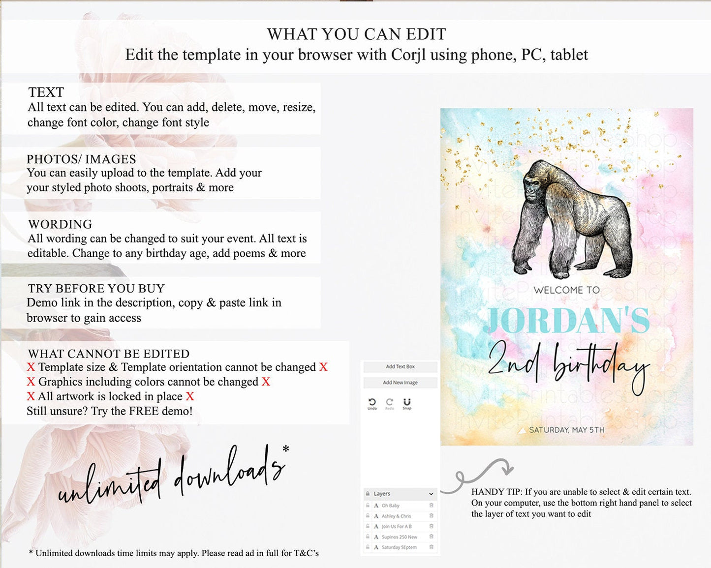 Pastel Gorilla Welcome Sign Rainbow Gorilla Welcome Board Colorful Rainbow Pastel Confetti Watercolor First Birthday Welcome Sign D10284