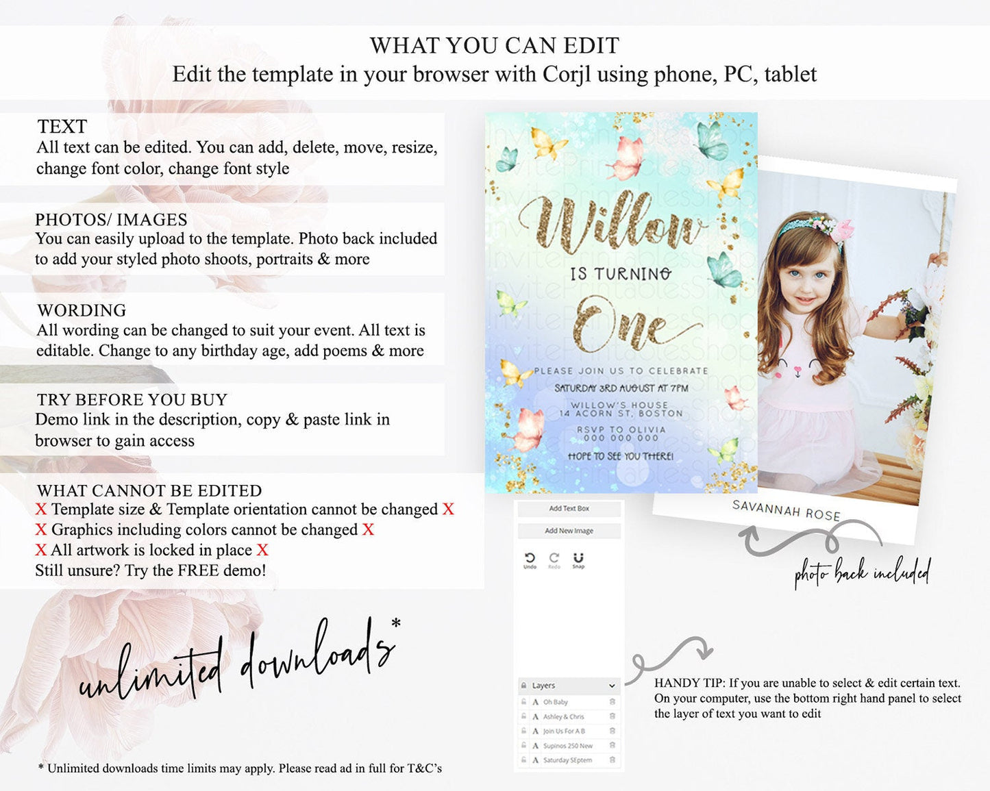 Pastel Butterfly Birthday Invitation Butterfly Birthday Invitation Colorful Splash Glitter Butterfly Garden 1st 2nd Birthday D23081