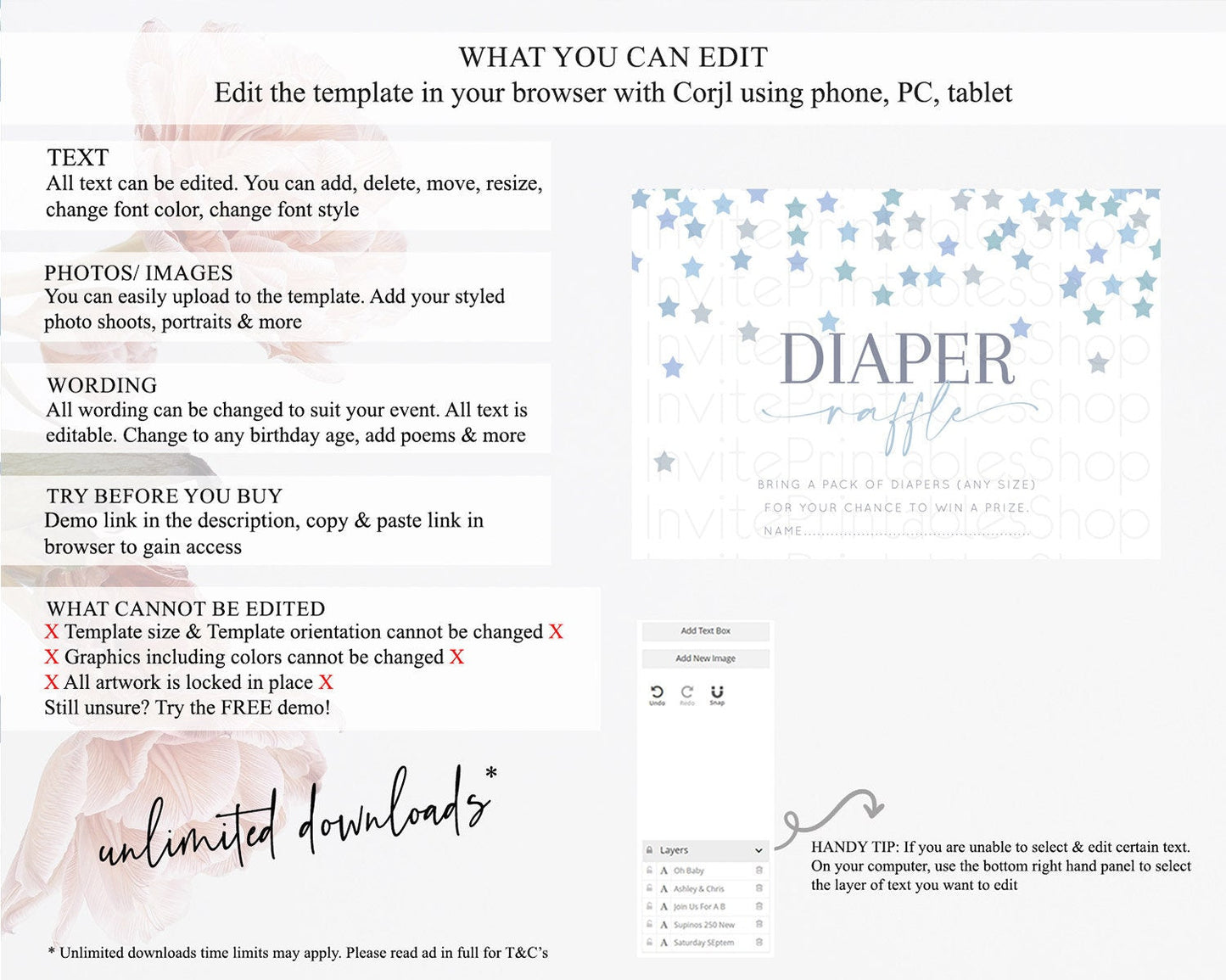 Pastel Star Diaper Raffle Card Shooting Star Diaper Raffle Insert Twinkle Little Star Diaper Ticket Rainbow Confetti Raffle Game D10341