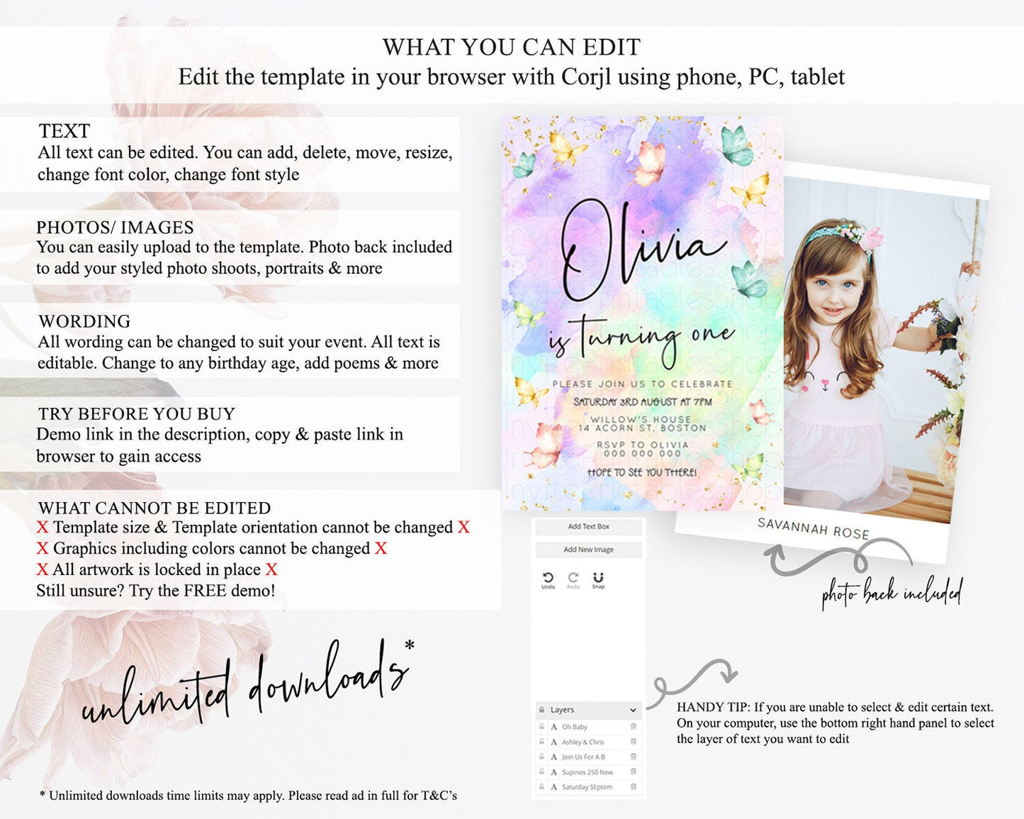 Pastel Butterfly Birthday Invitation Butterfly Birthday Invitation Whimsical Butterfly Enchanted Garden 1st 2nd Birthday Invitation D23203