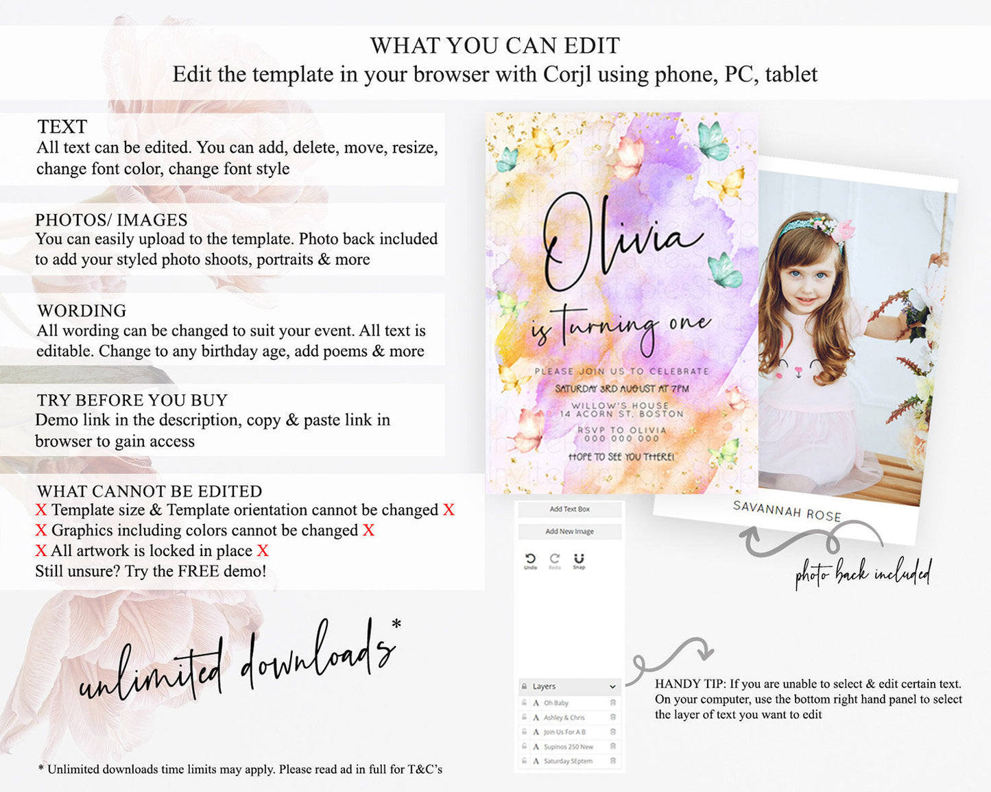 Pastel Butterfly Birthday Invitation Butterfly Birthday Invitation Whimsical Butterfly Enchanted Garden 1st 2nd Birthday Invitation D23206