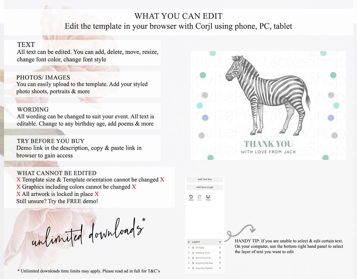 Zebra Thank You Zebra Thank You Card Zebra Birthday Thank You Cards Safari Dried Palm Fern Zebra Teacher Thank You Card Template D10856