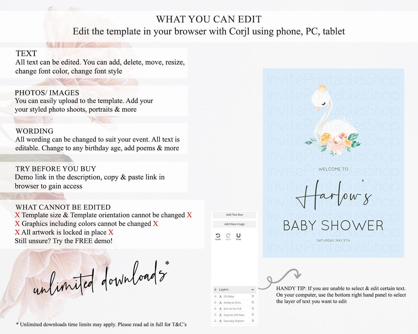 Swan Baby Shower Welcome Board Swan Princess Ballet Welcome Sign Enchanted Swan Lake Secret Garden Pastel Floral Swan Welcome Sign D10903