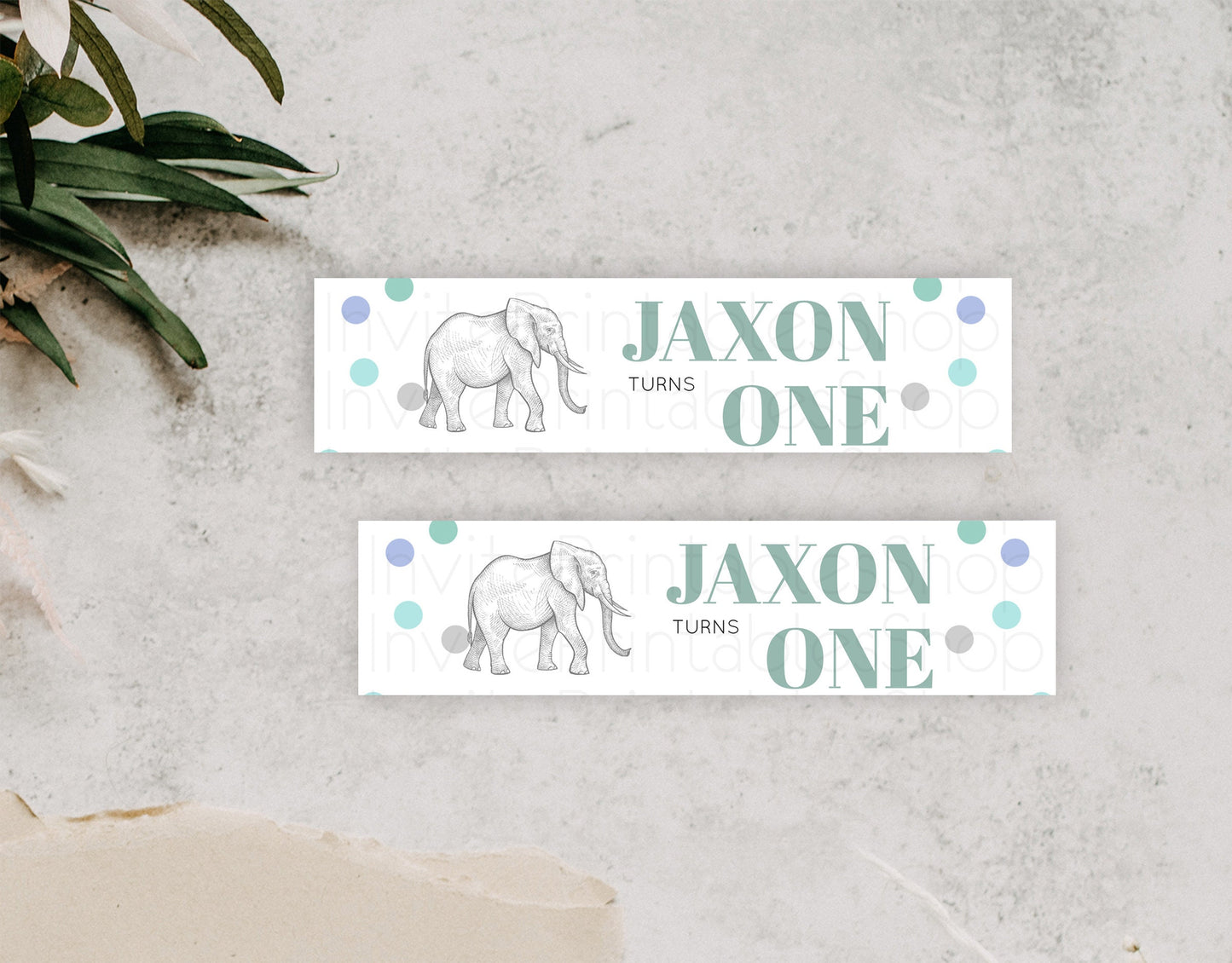 Elephant Water Label Template Elephant Safari Adventure Party Decor Dried Palm Fern Zoo Birthday Baptism Baby Shower Bridal Shower D10859