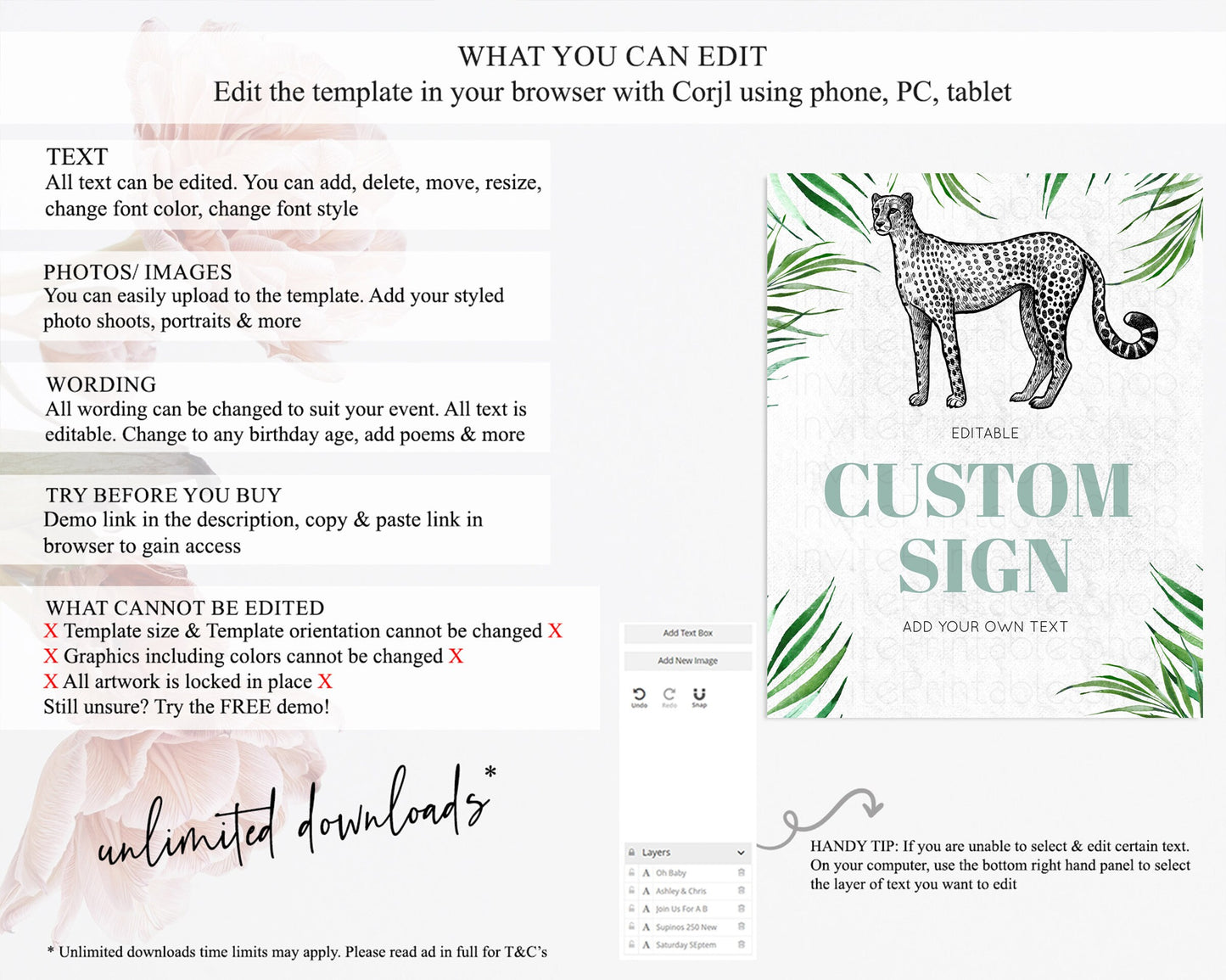 Cheetah Signs