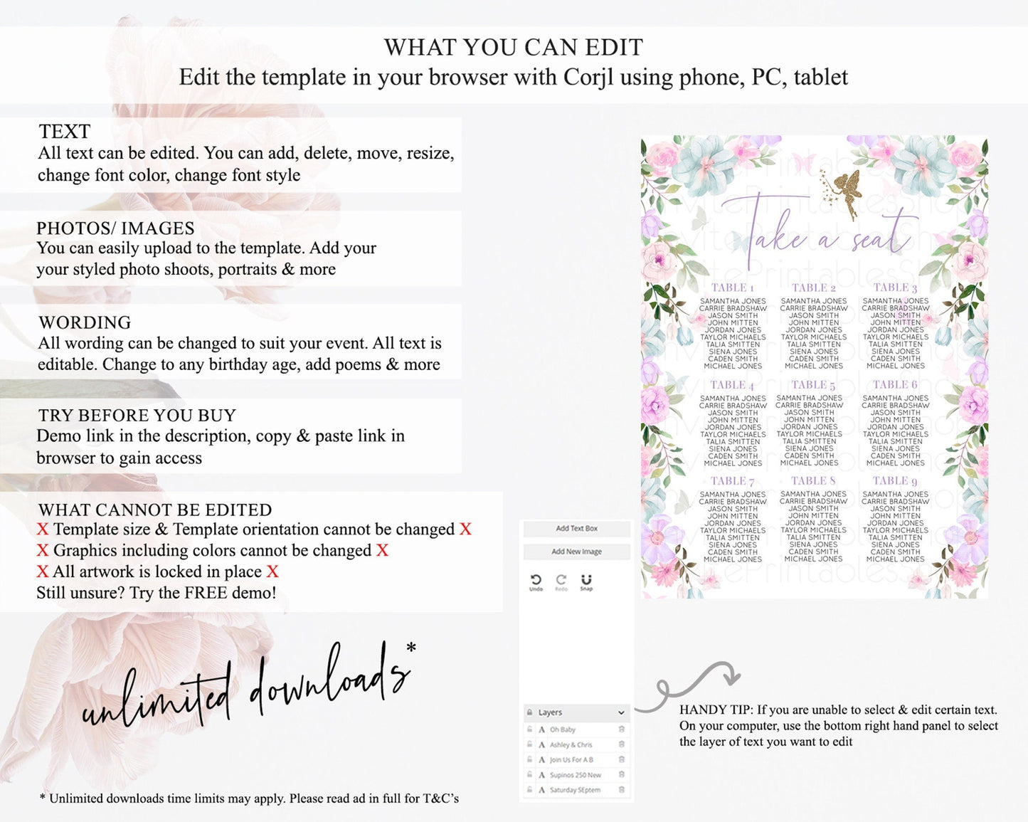 Fairy Seating Chart Pastel Fairy Seating Chart Fairy Tea Party Fairy Garden Seating Sign Enchanted Garden Floral Butterfly Decor D10475