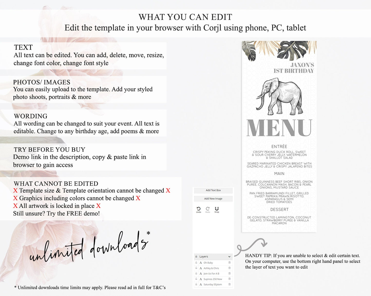 Elephant Menu Elephant Menu Template Elephant Safari Zoo Table Decor Elephant Dinner Dessert Menu Elephant Party Food Menu D10806