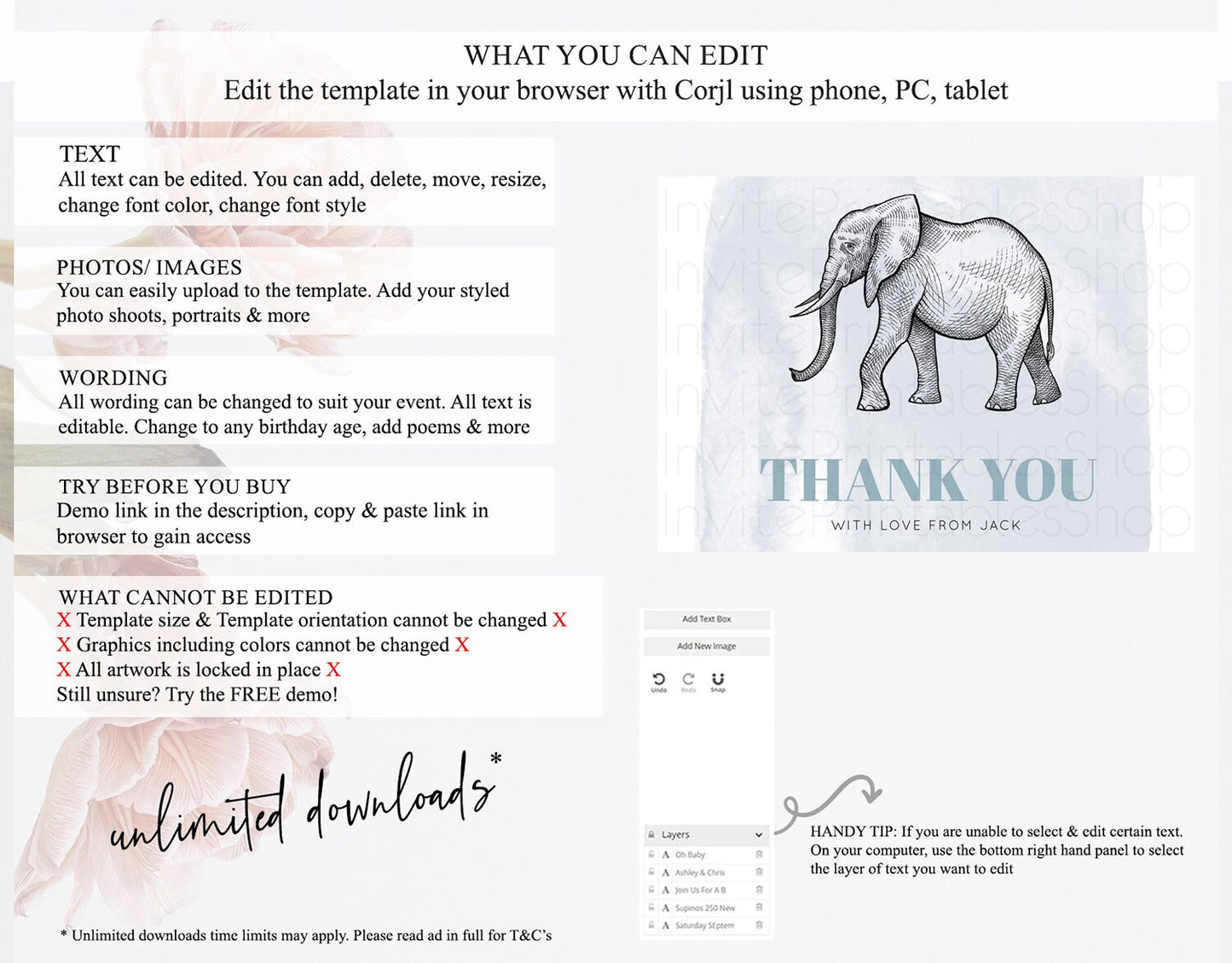 Pastel Elephant Thank You Rainbow Elephant Thank You Card Colorful Rainbow Birthday Thank You Pastel Teacher Thank You Card Template D10811