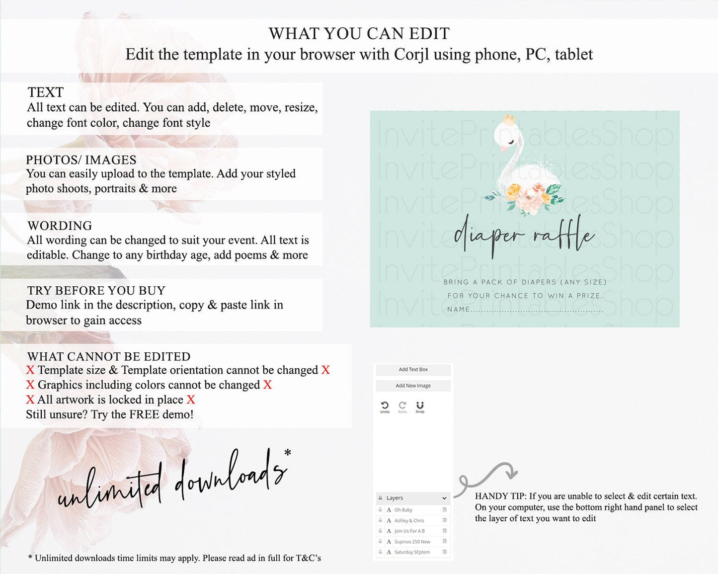 Swan Diaper Raffle Card Swan Princess Ballet Diaper Raffle Insert Enchanted Swan Lake Diaper Ticket Secret Garden Floral Raffle Game D10905
