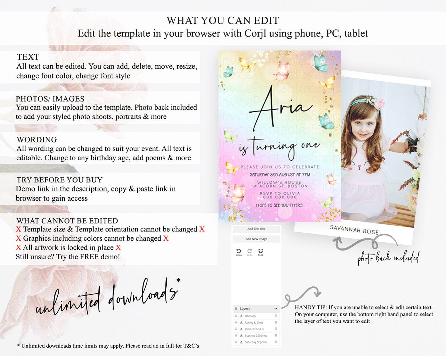 Pastel Butterfly Birthday Invitation Butterfly Birthday Invitation Whimsical Butterfly Enchanted Garden 1st 2nd Birthday Invitation D23138
