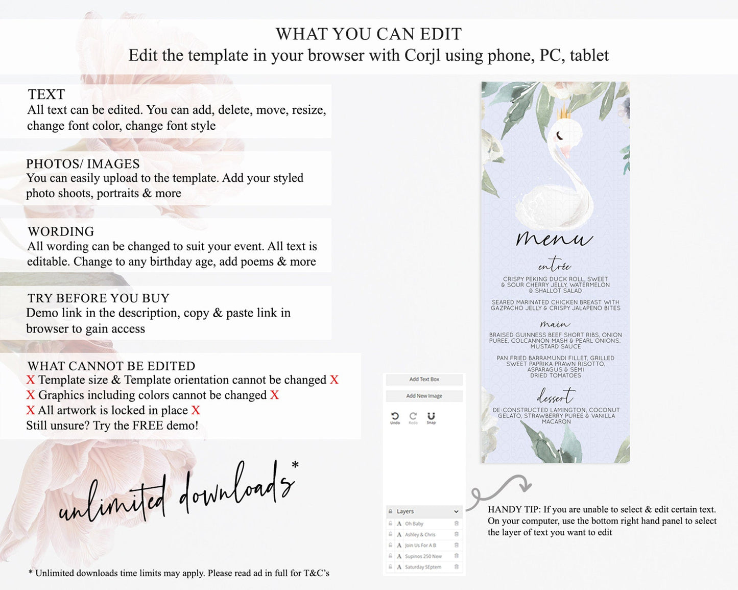Swan Menu Swan Princess Ballet Menu Template Enchanted Swan Lake Table Decor Secret Garden Pastel Floral Dinner Dessert Food Menu D10756