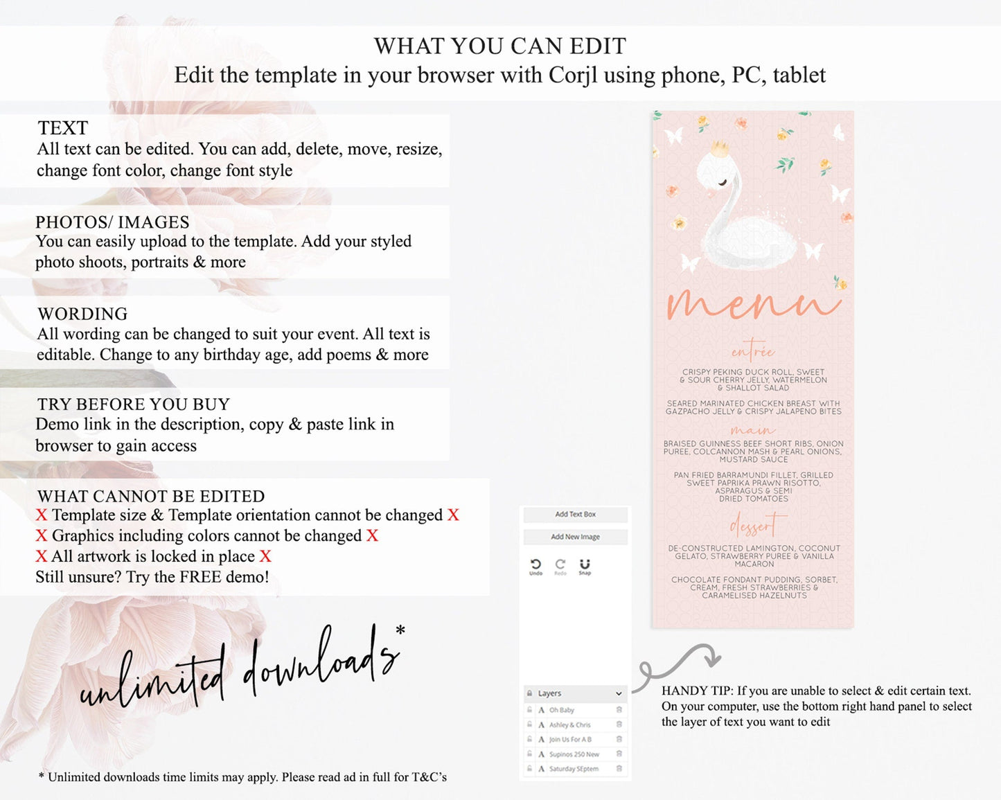 Swan Menu Swan Princess Ballet Menu Template Enchanted Swan Lake Table Decor Secret Garden Pastel Floral Dinner Dessert Food Menu D10388