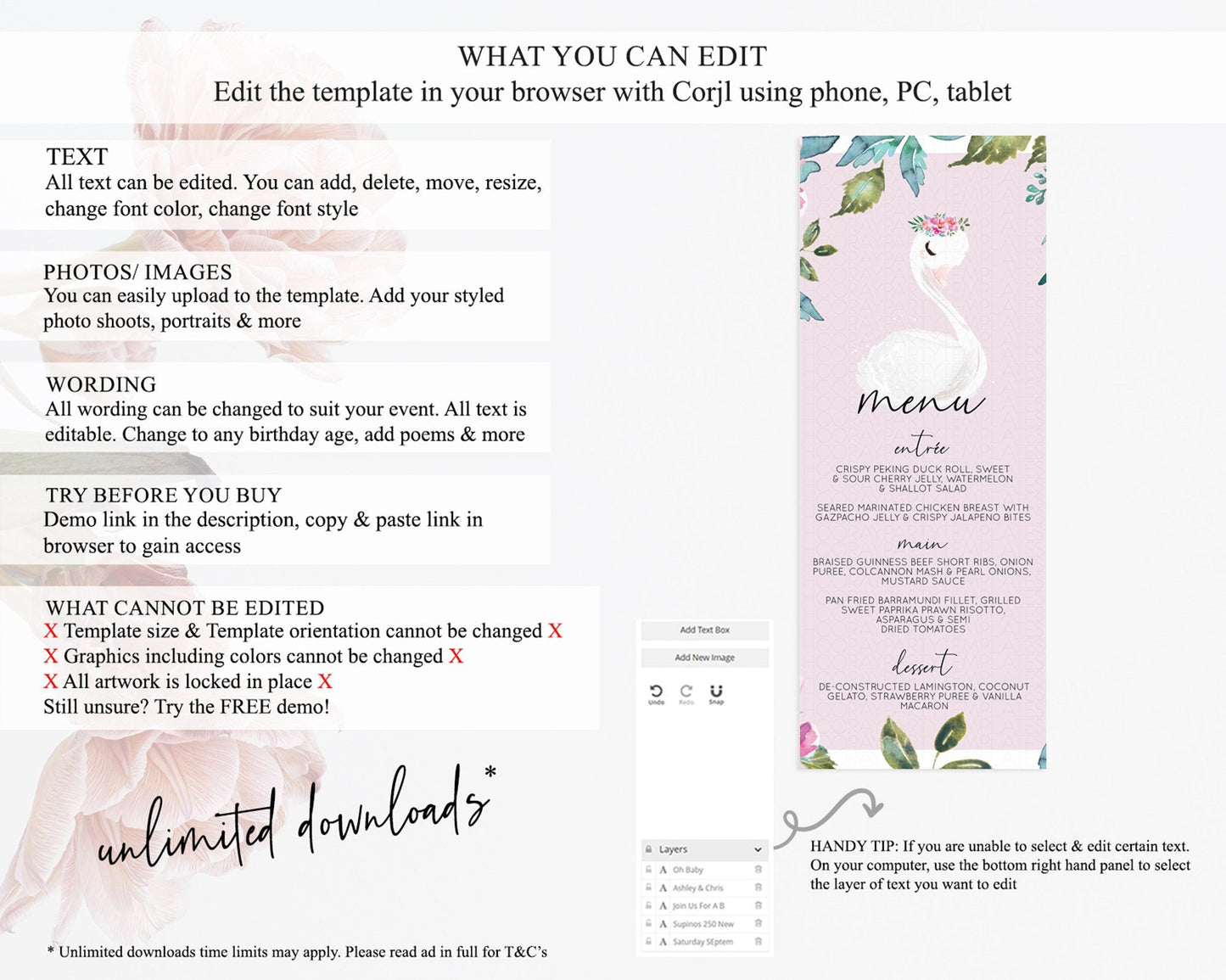 Swan Menu Swan Princess Ballet Menu Template Enchanted Swan Lake Table Decor Secret Garden Pastel Floral Dinner Dessert Food Menu D10757
